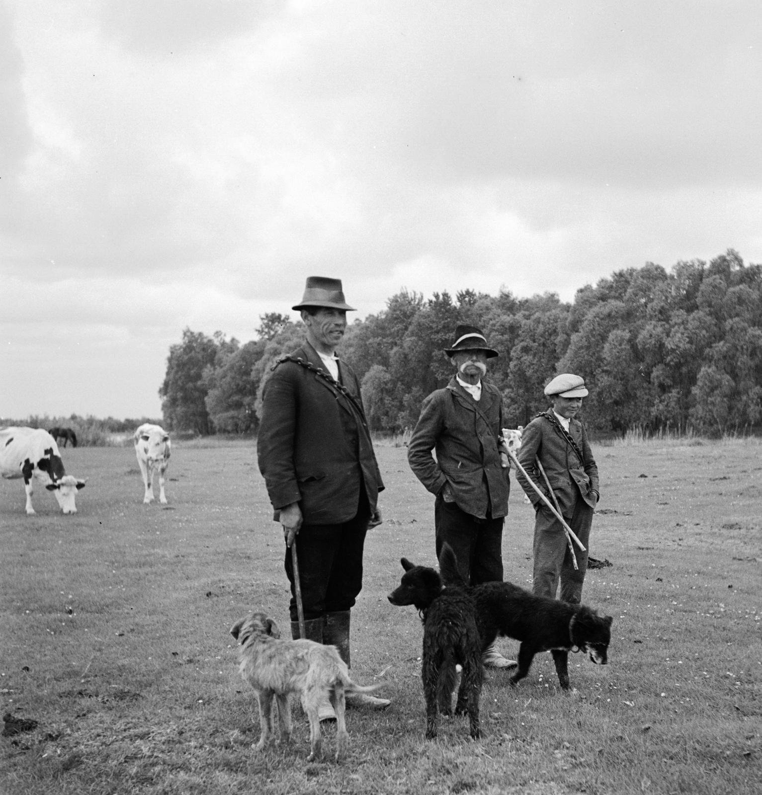 1935, Västernorrlands museum, Fortepan #313028