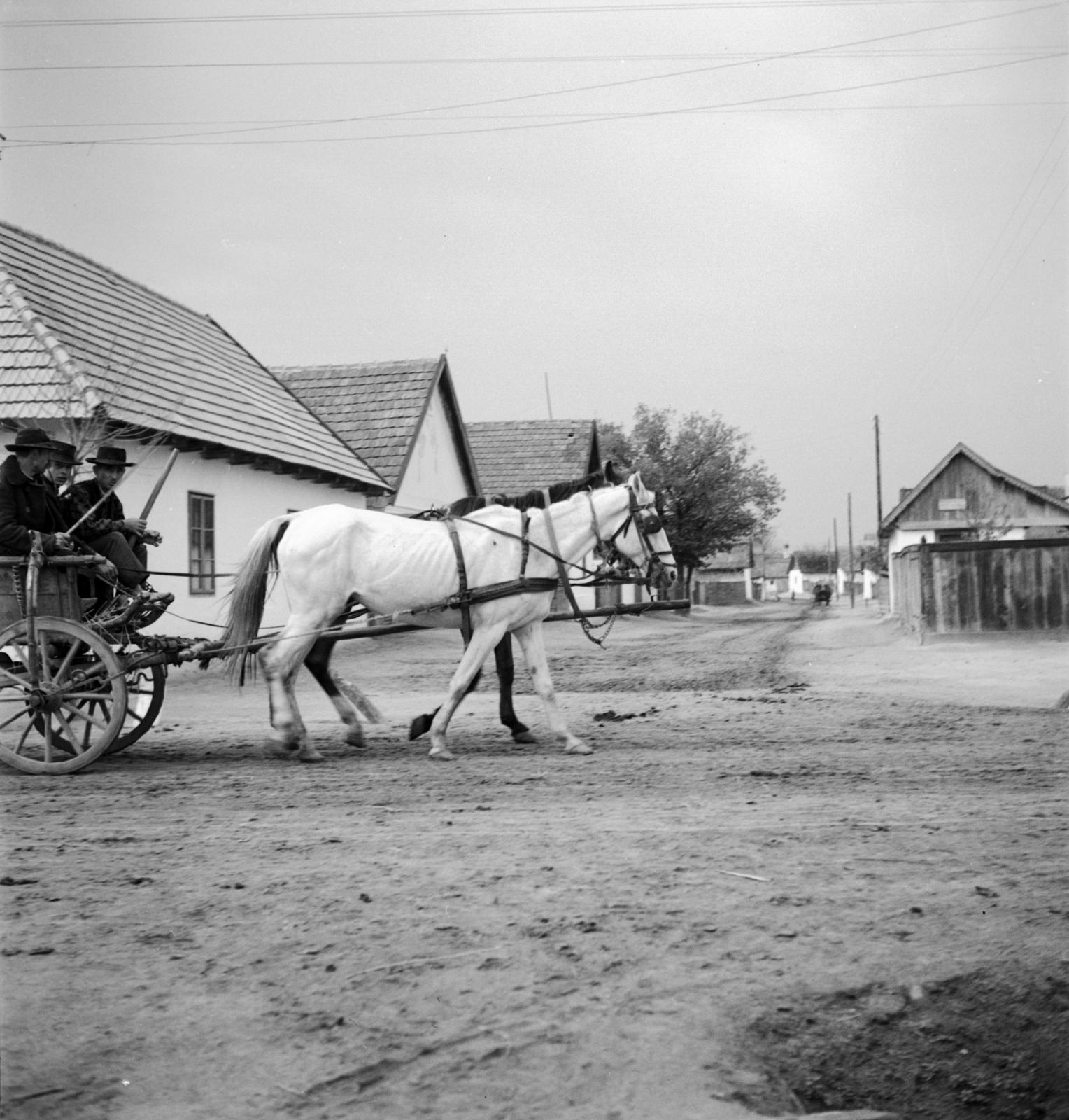 1935, Västernorrlands museum, Fortepan #313048