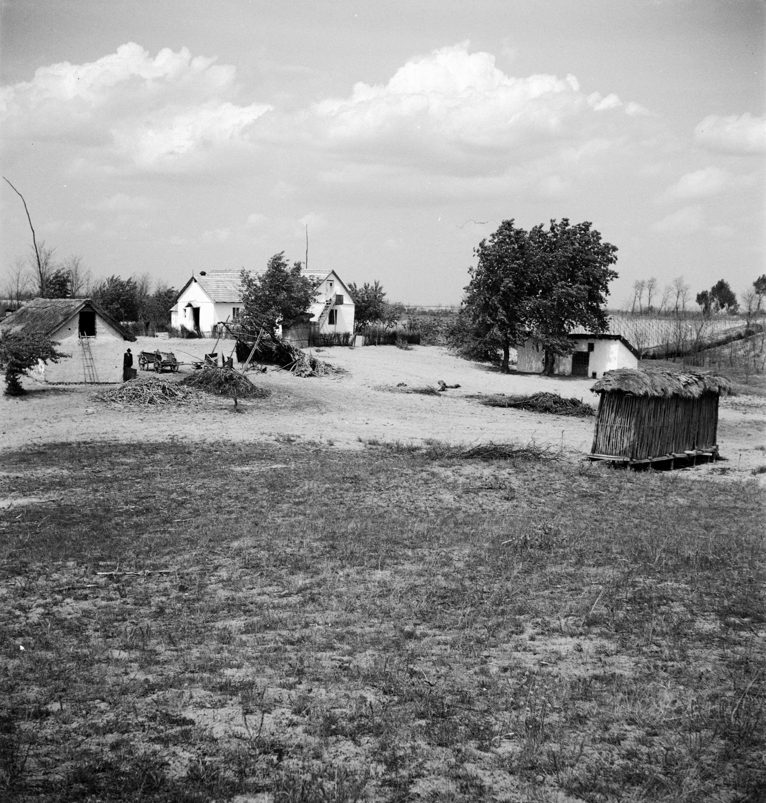 1935, Västernorrlands museum, Fortepan #313070