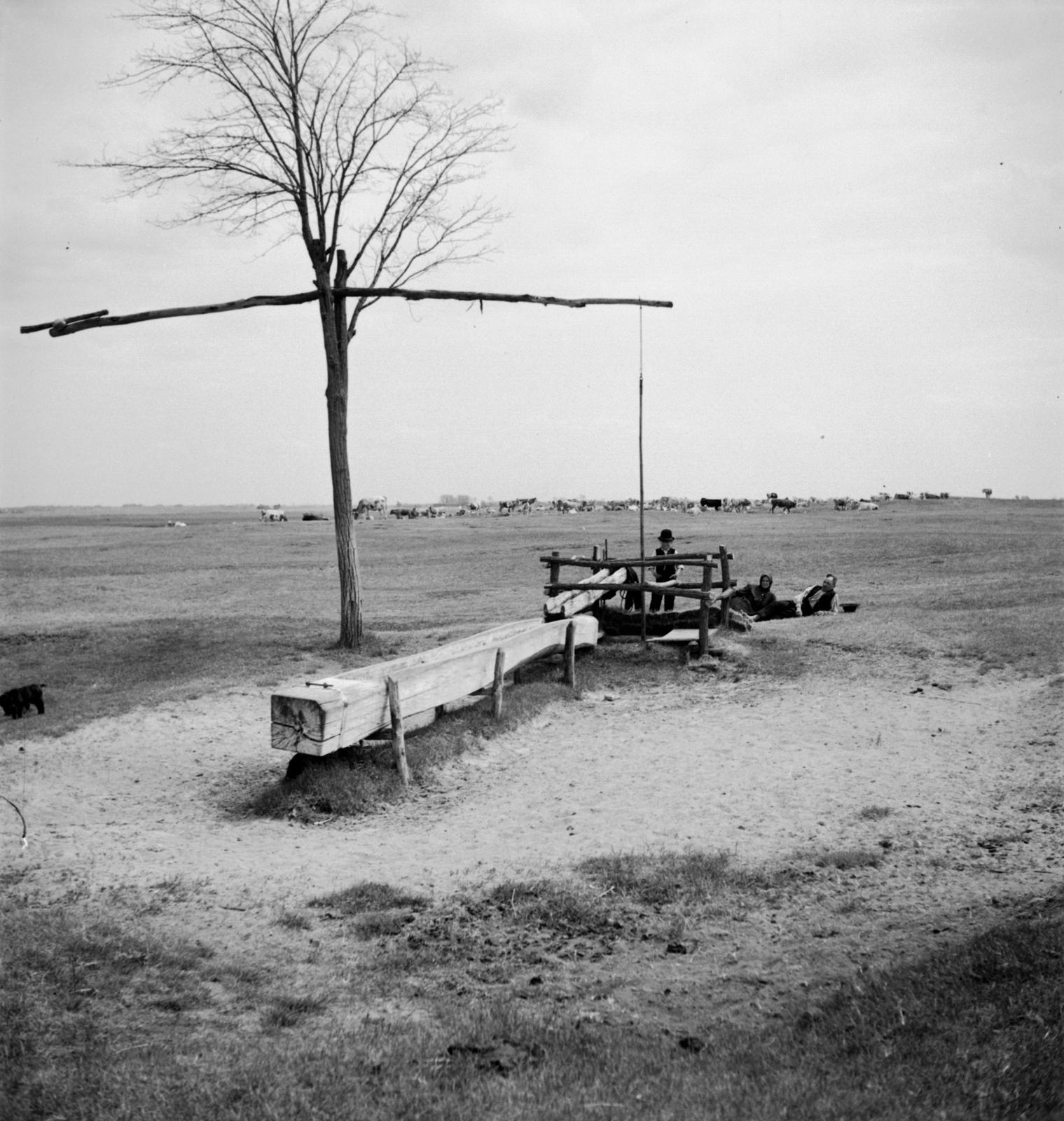1935, Västernorrlands museum, Fortepan #313071
