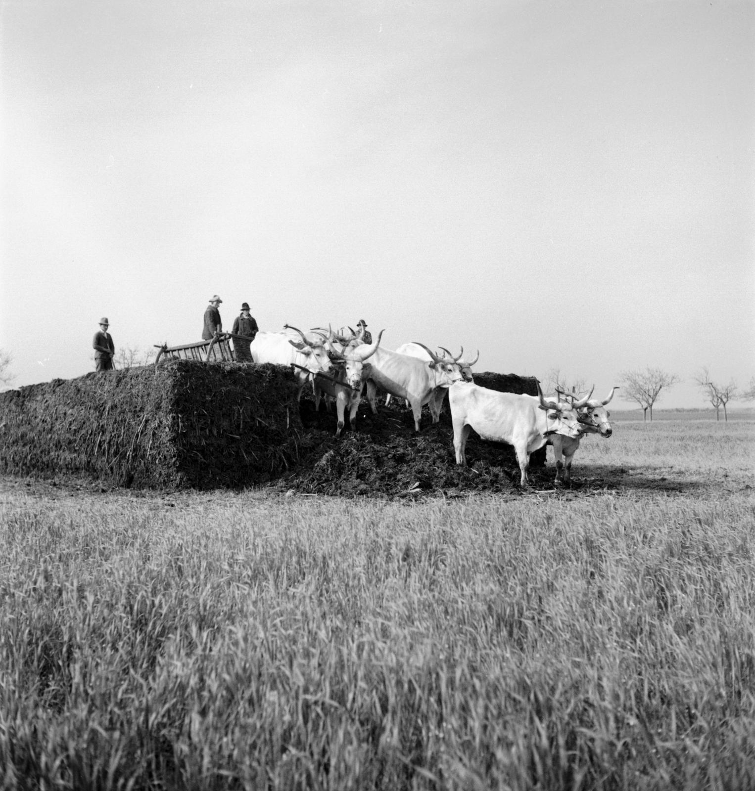 1935, Västernorrlands museum, Fortepan #313083