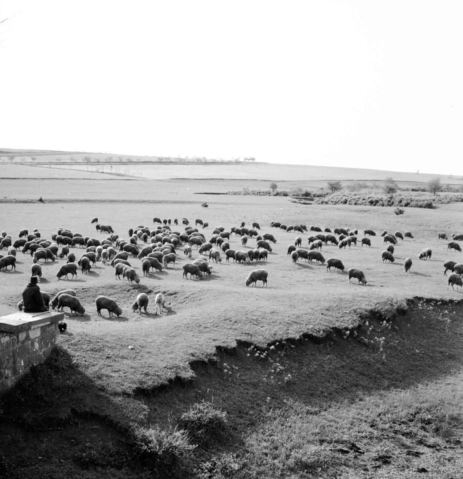 1935, Västernorrlands museum, Fortepan #313084