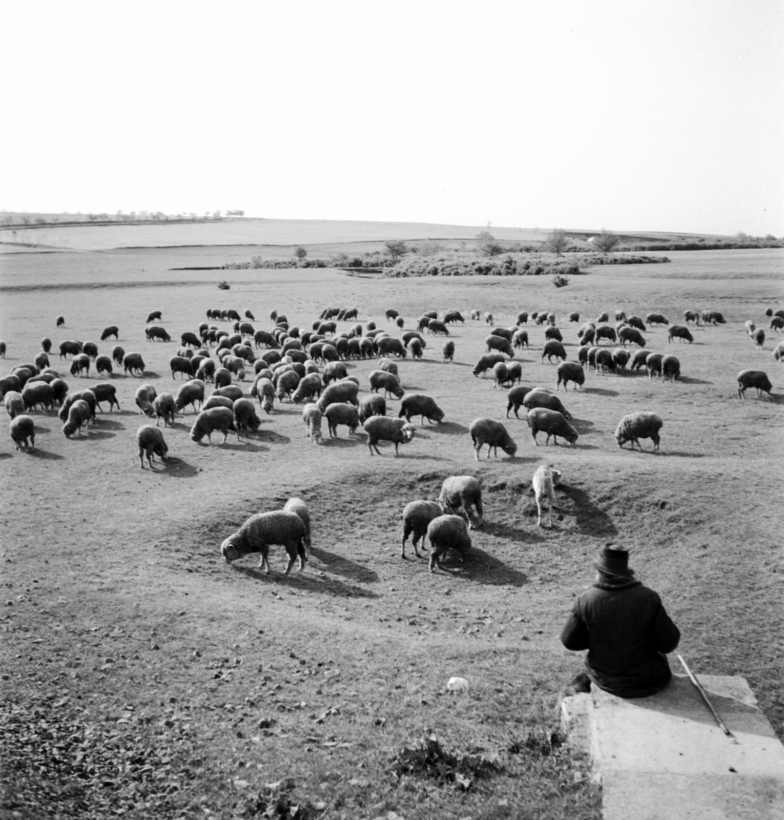 1935, Västernorrlands museum, Fortepan #313085