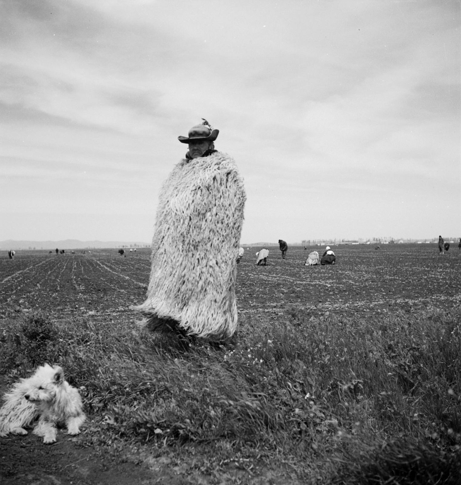 1935, Västernorrlands museum, Fortepan #313089