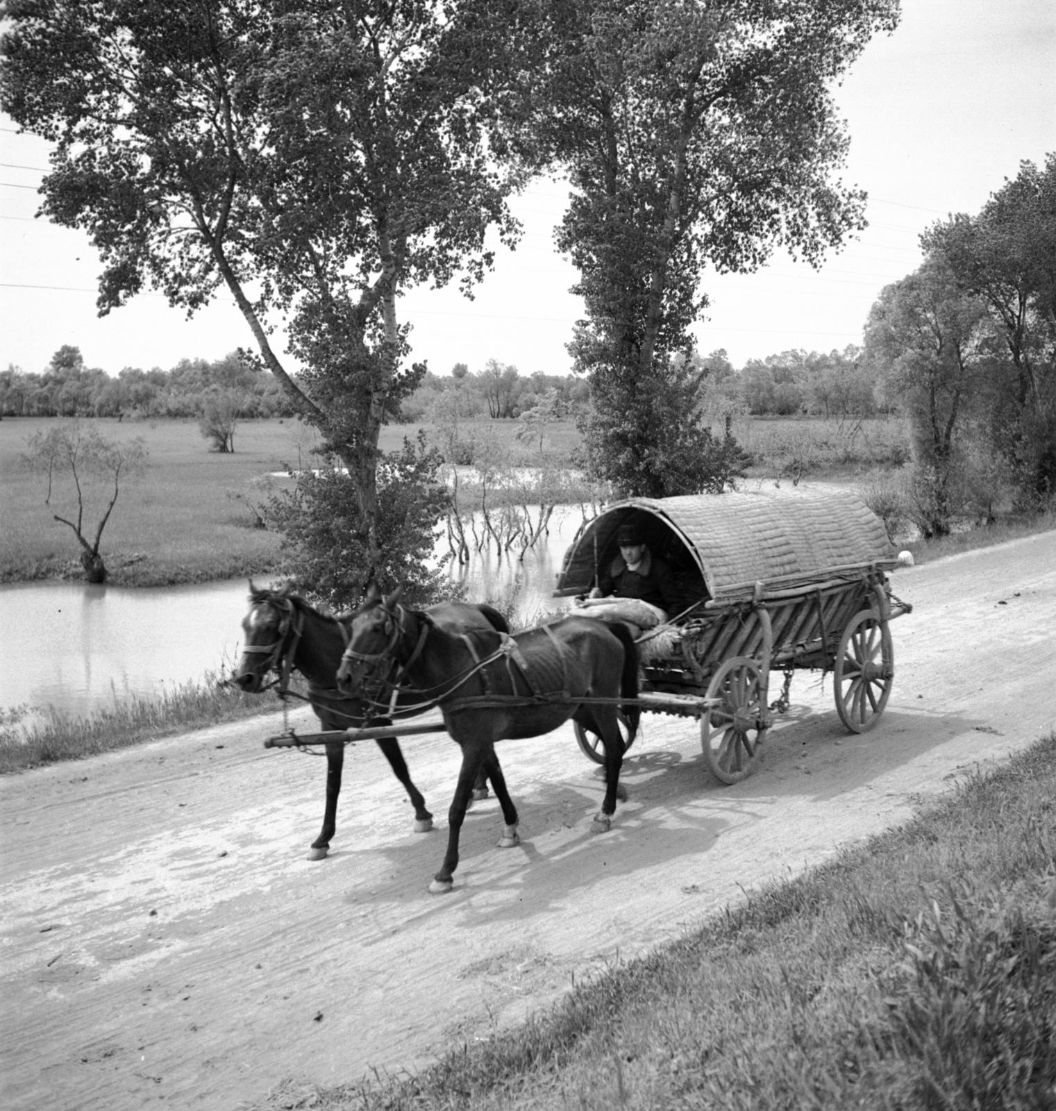 1935, Västernorrlands museum, Fortepan #313090