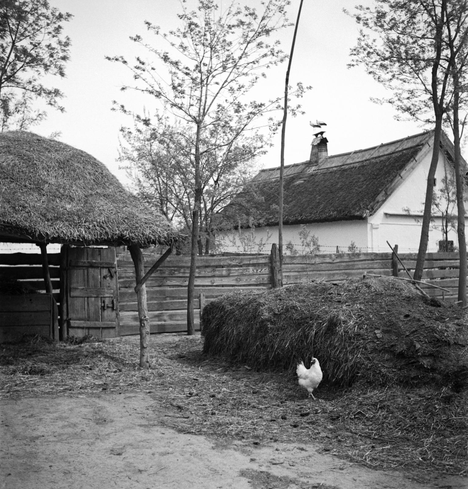 1935, Västernorrlands museum, Fortepan #313093