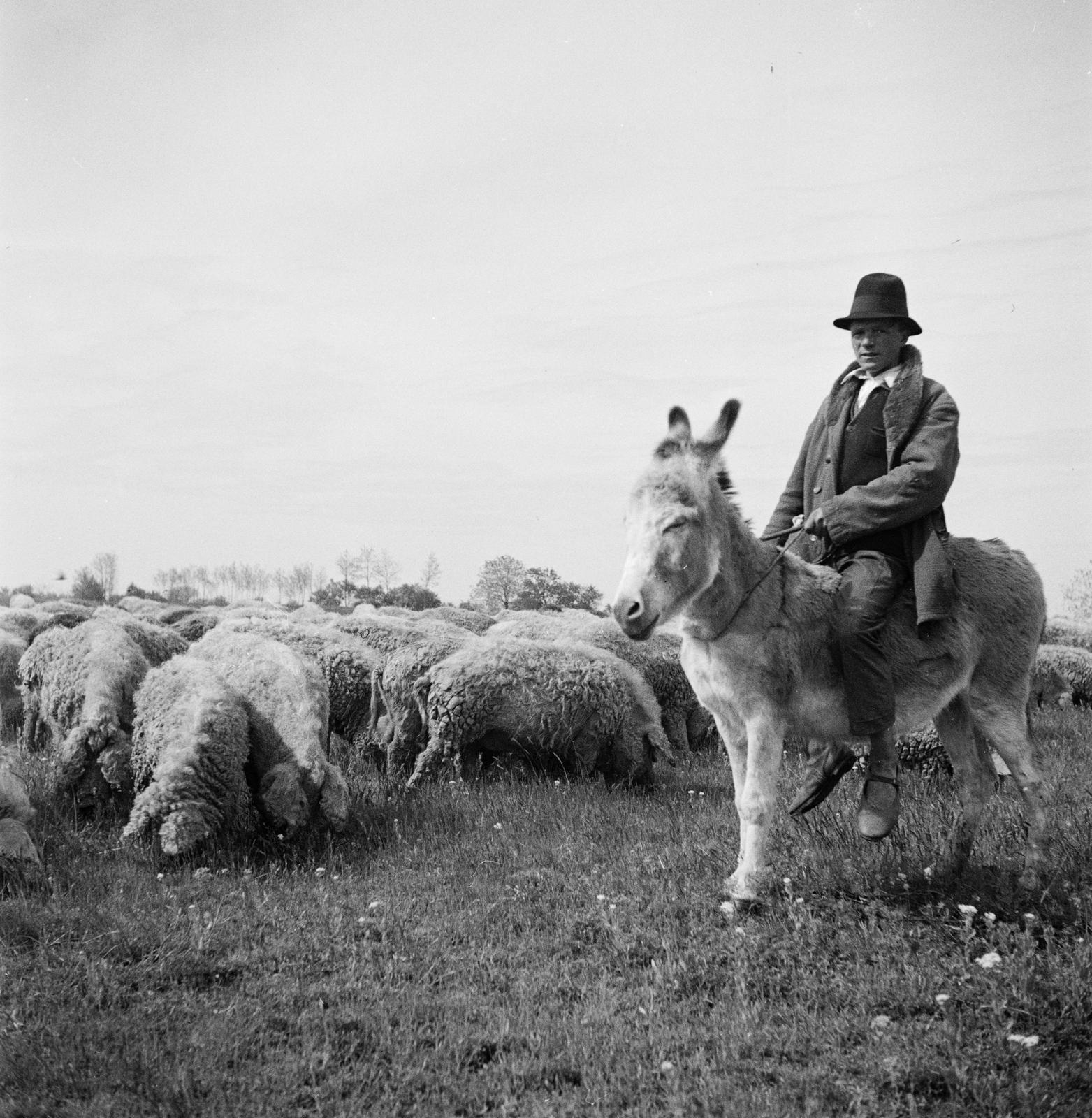 1935, Västernorrlands museum, Fortepan #313101