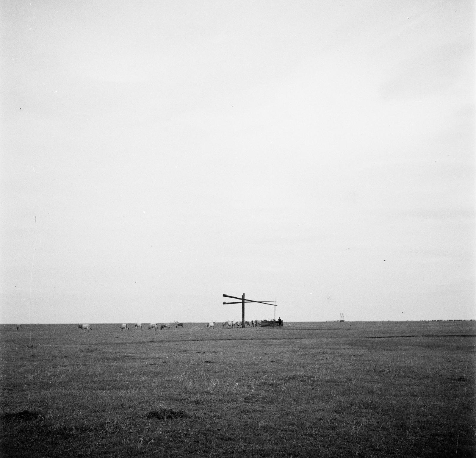 1935, Västernorrlands museum, Fortepan #313102