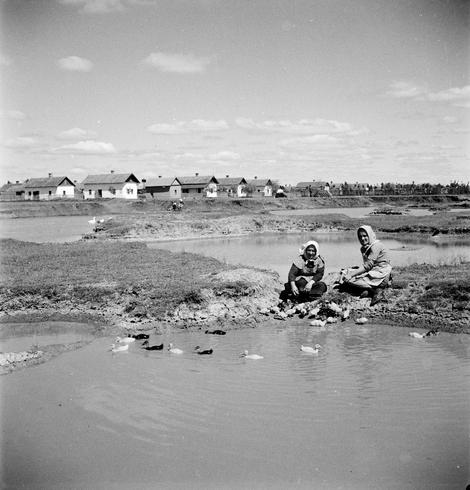 1935, Västernorrlands museum, Fortepan #313110
