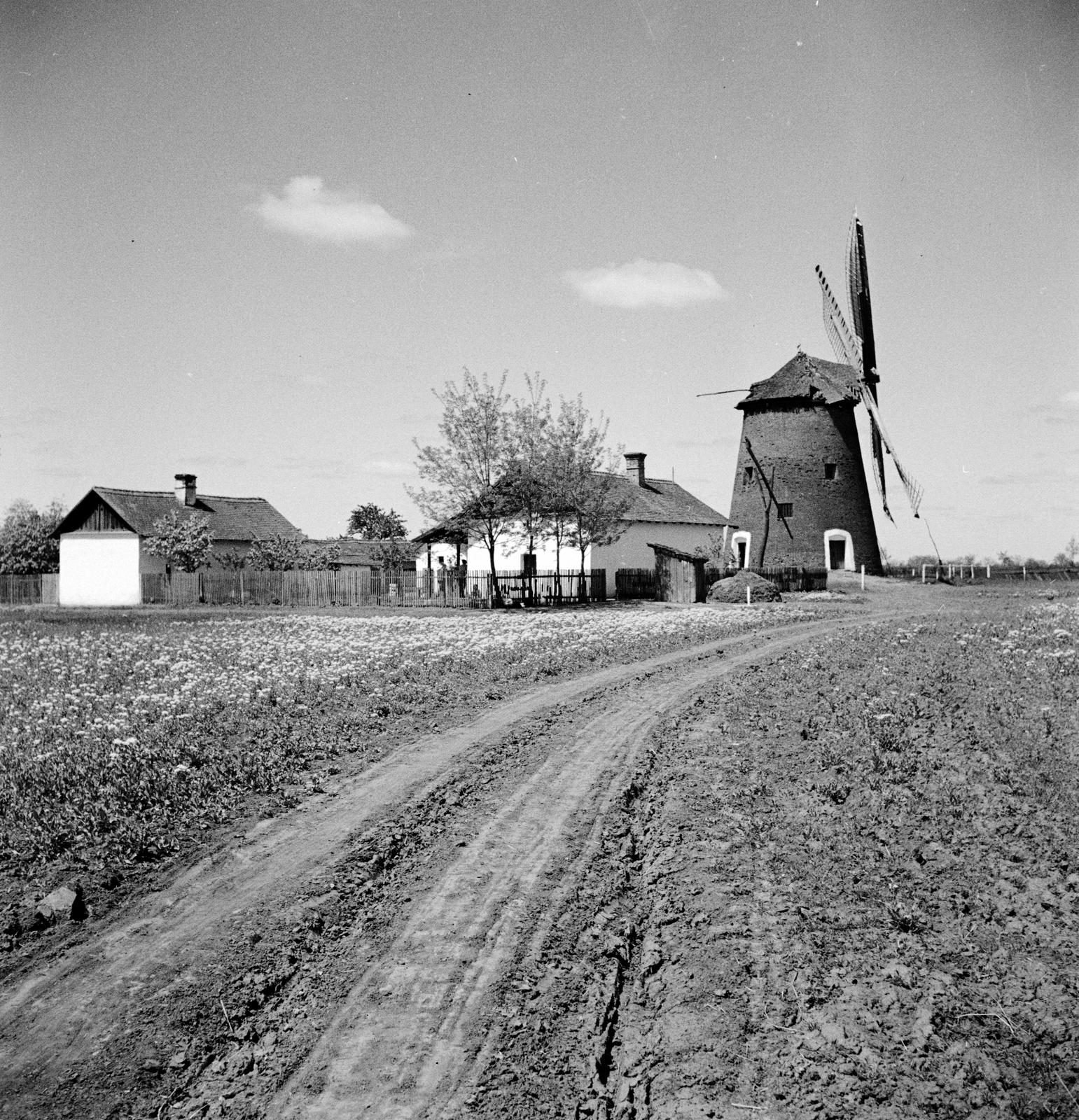 1935, Västernorrlands museum, Fortepan #313112