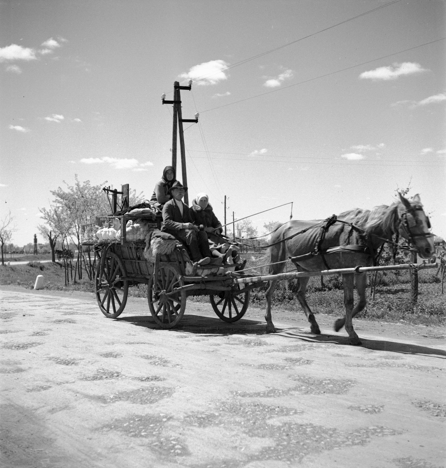 1935, Västernorrlands museum, Fortepan #313118