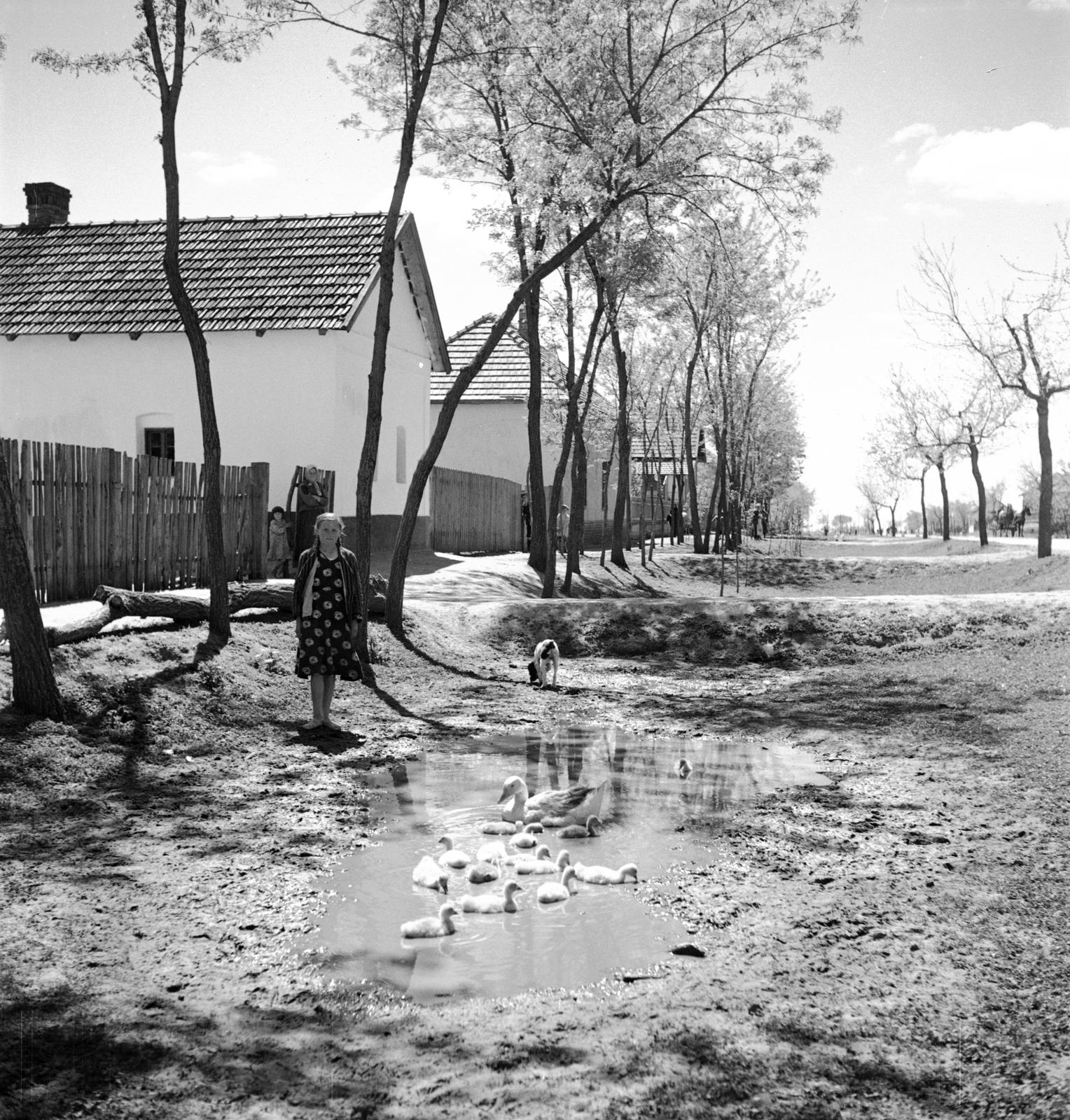 1935, Västernorrlands museum, Fortepan #313119