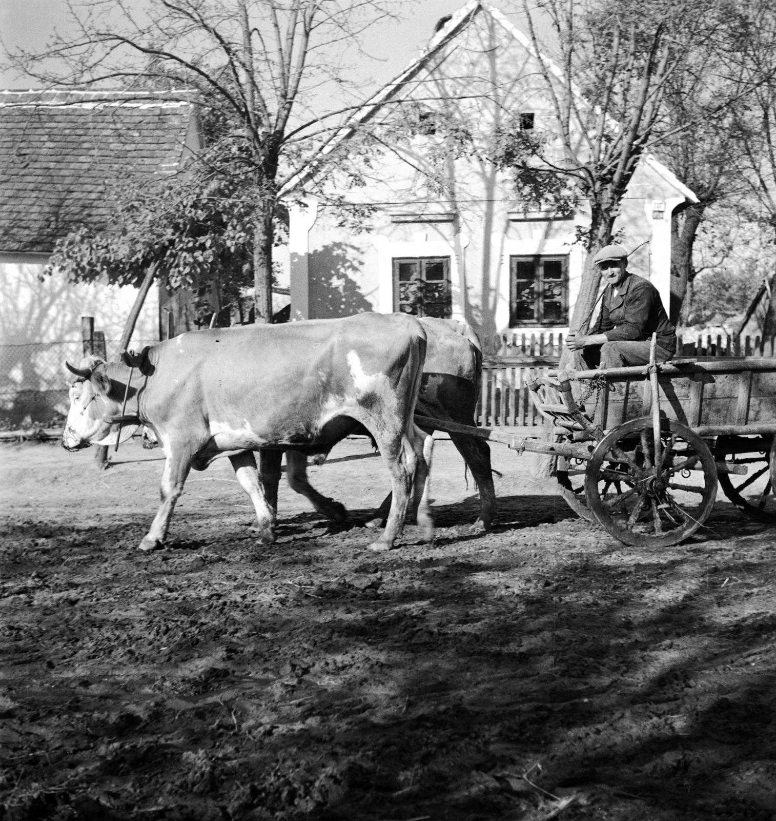 1935, Västernorrlands museum, Fortepan #313148