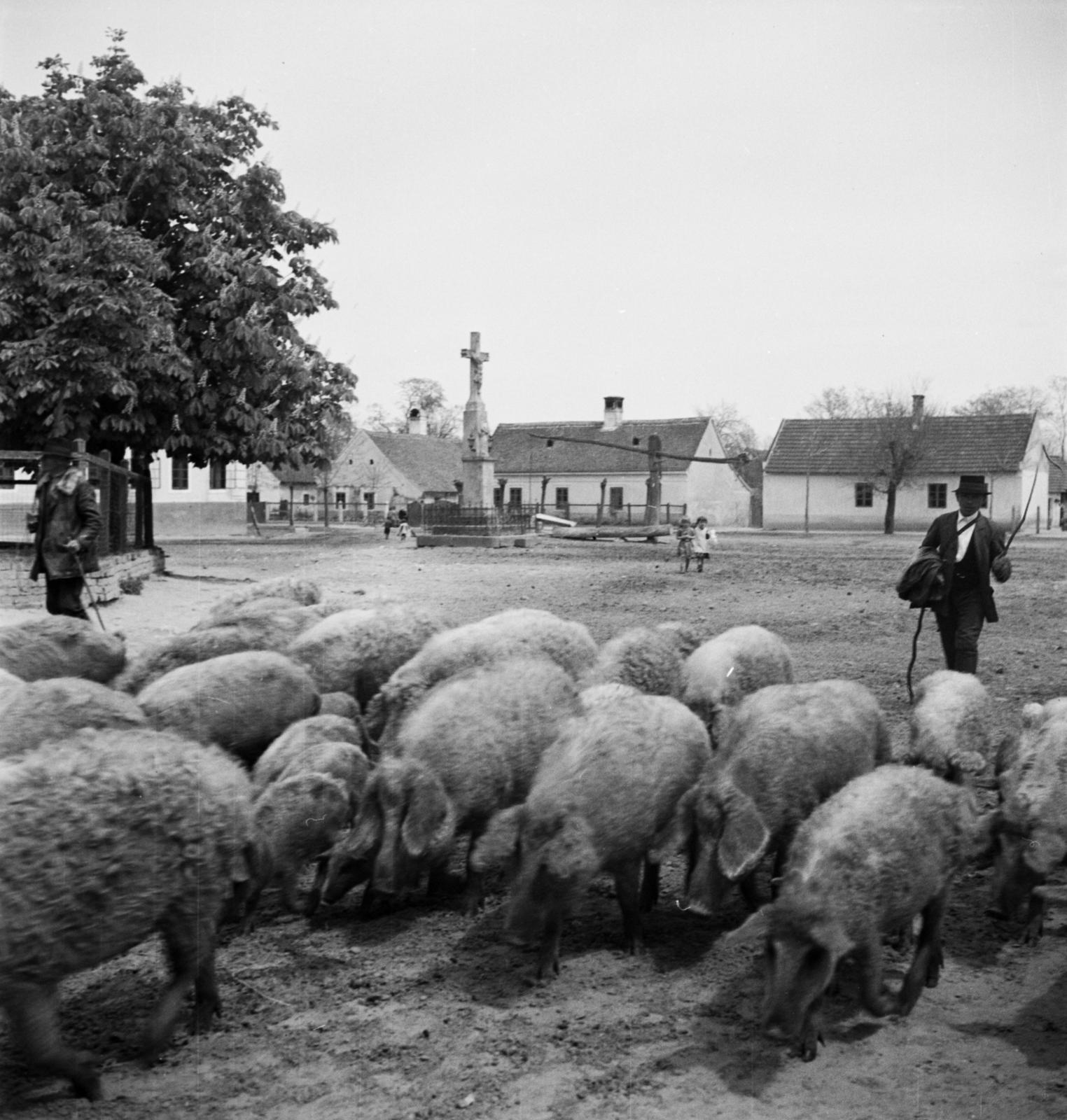 1935, Västernorrlands museum, Fortepan #313177
