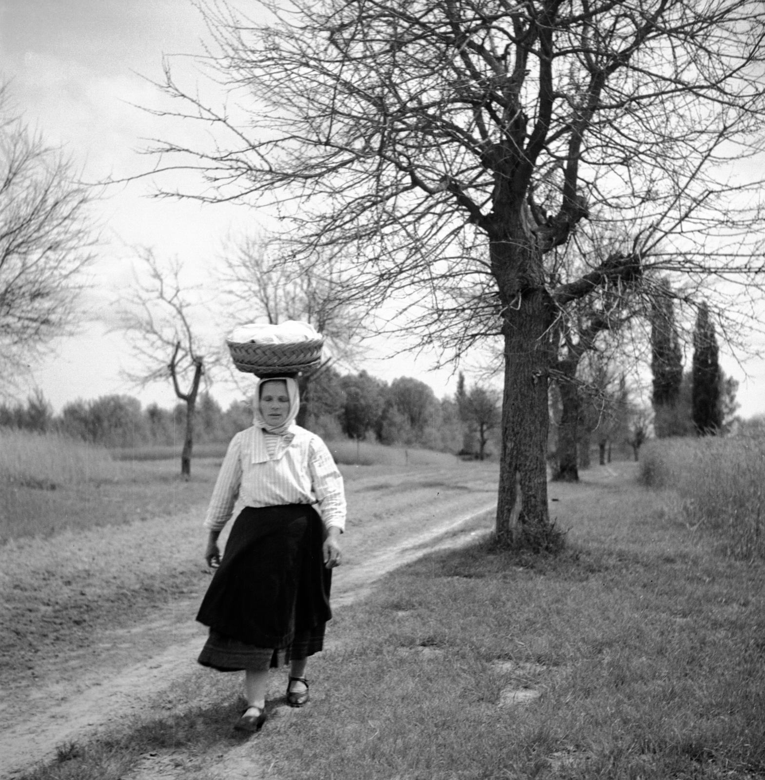 1935, Västernorrlands museum, Fortepan #313185