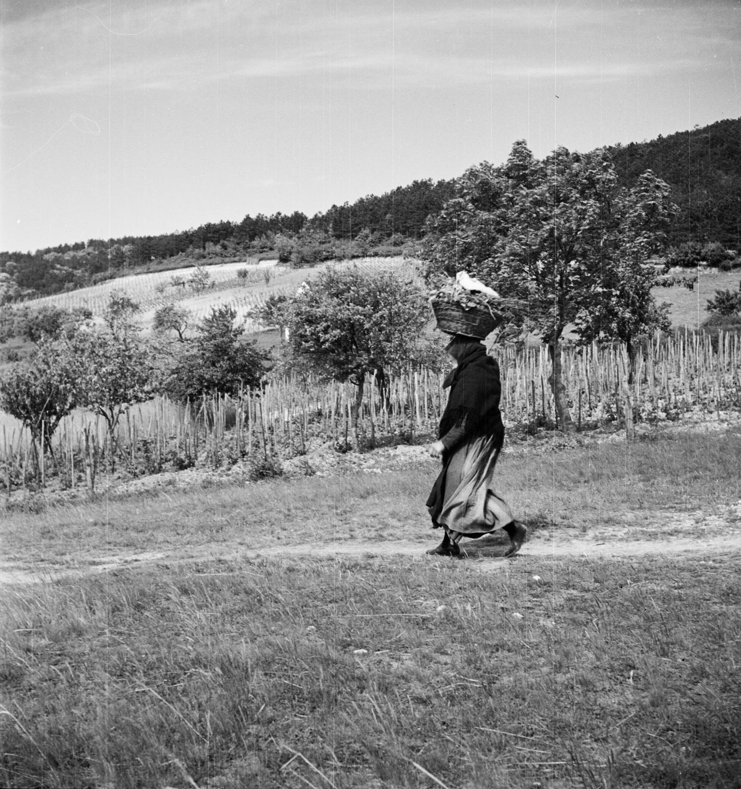 1935, Västernorrlands museum, Fortepan #313192