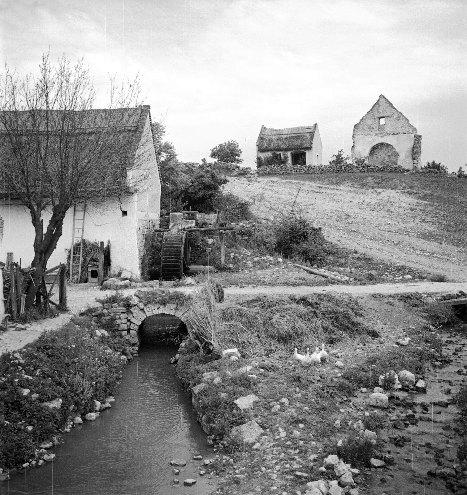 1935, Västernorrlands museum, Fortepan #313196
