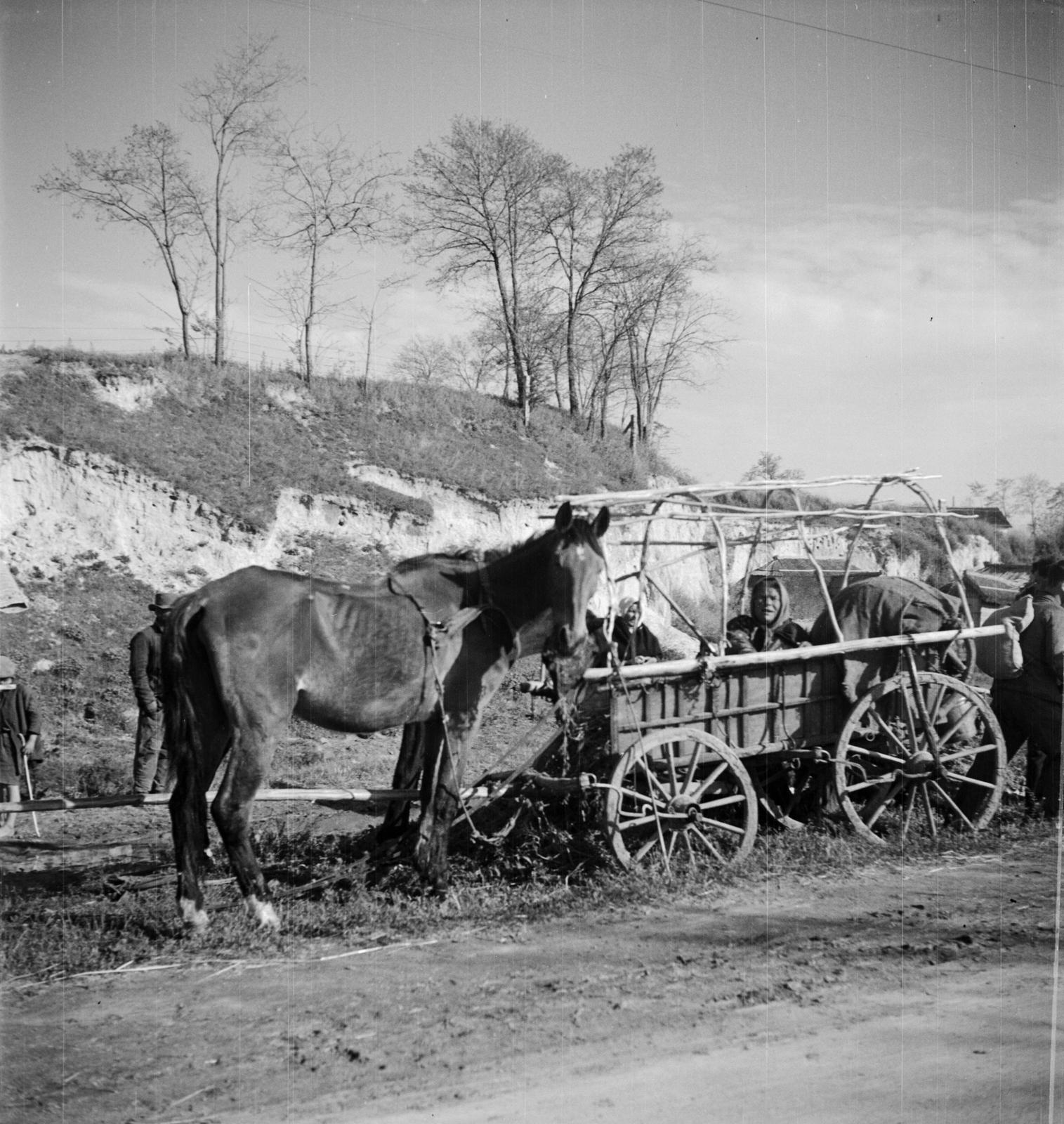 1935, Västernorrlands museum, Fortepan #313199