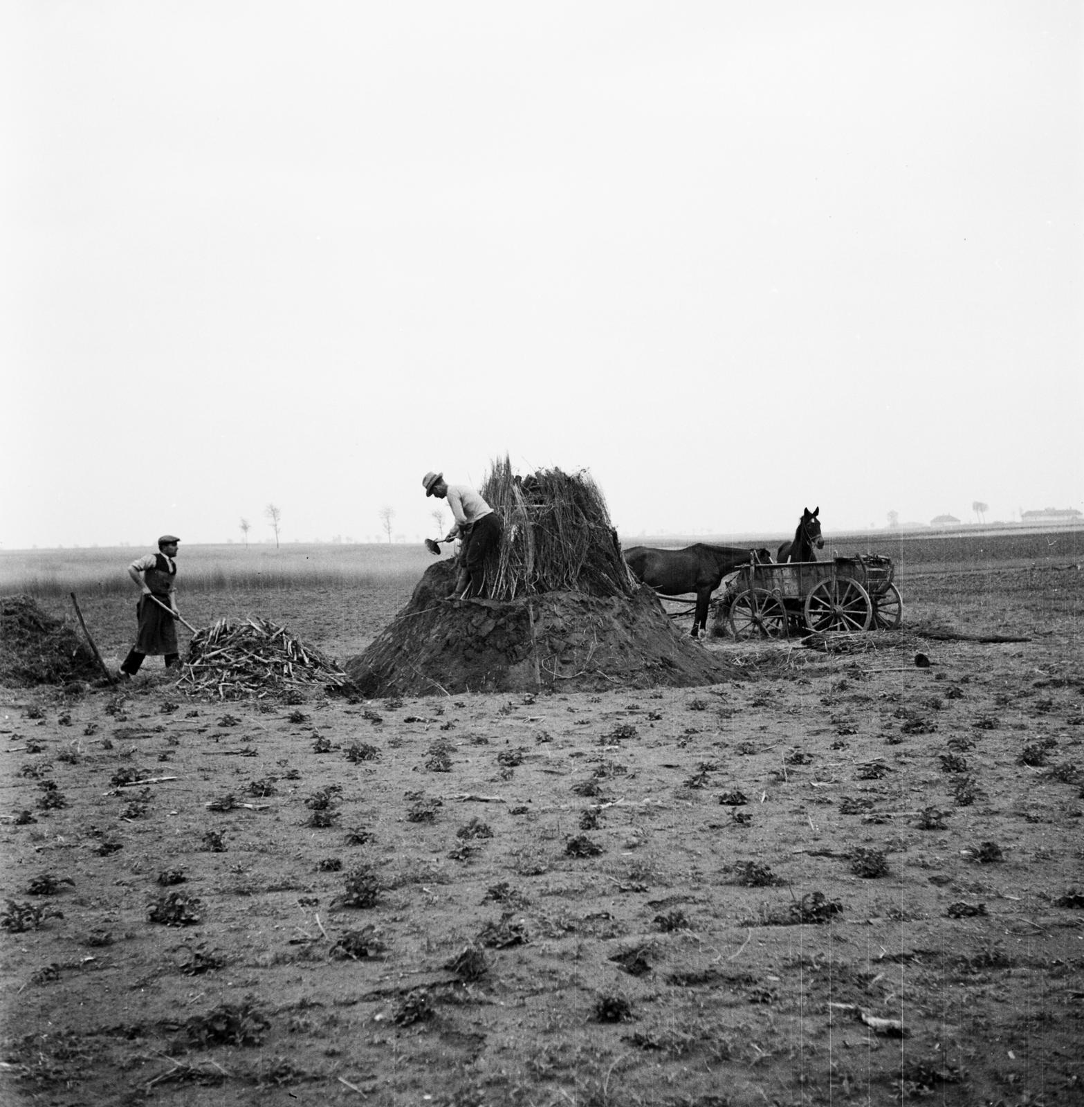 1935, Västernorrlands museum, Fortepan #313207