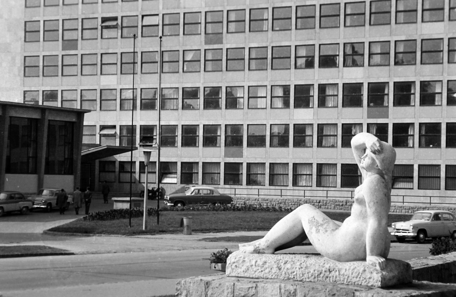 1968, Villányi Gergely, Fortepan #313220