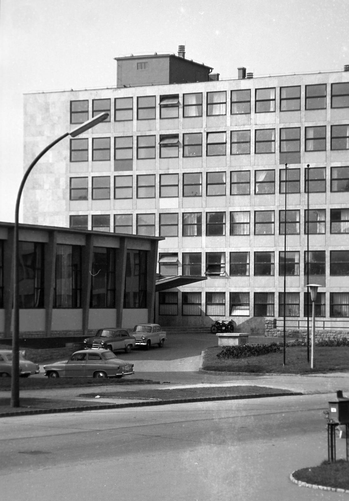 1968, Villányi Gergely, Fortepan #313221