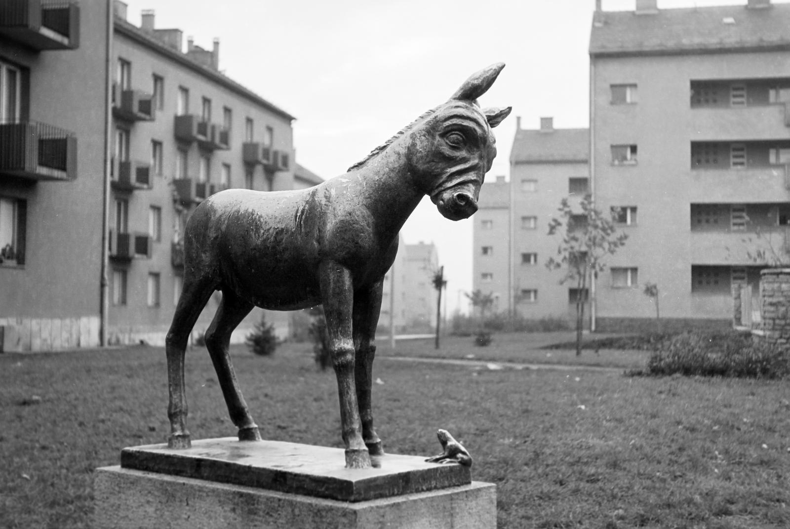 1968, Villányi Gergely, Fortepan #313226