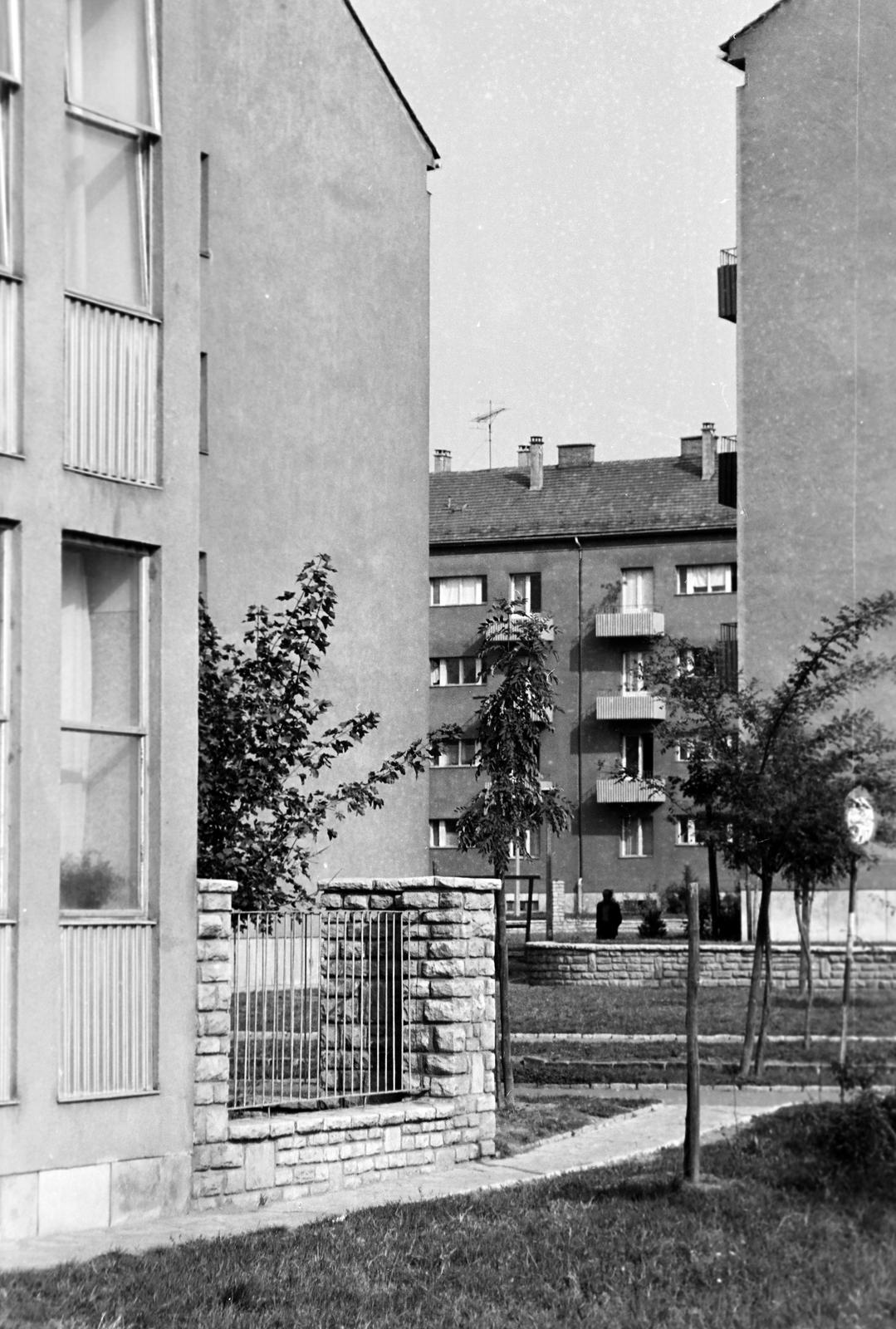 1968, Villányi Gergely, Fortepan #313229