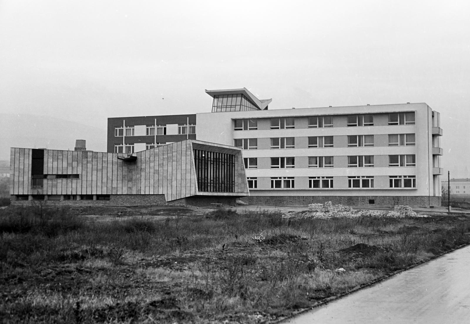 1968, Villányi Gergely, Fortepan #313232