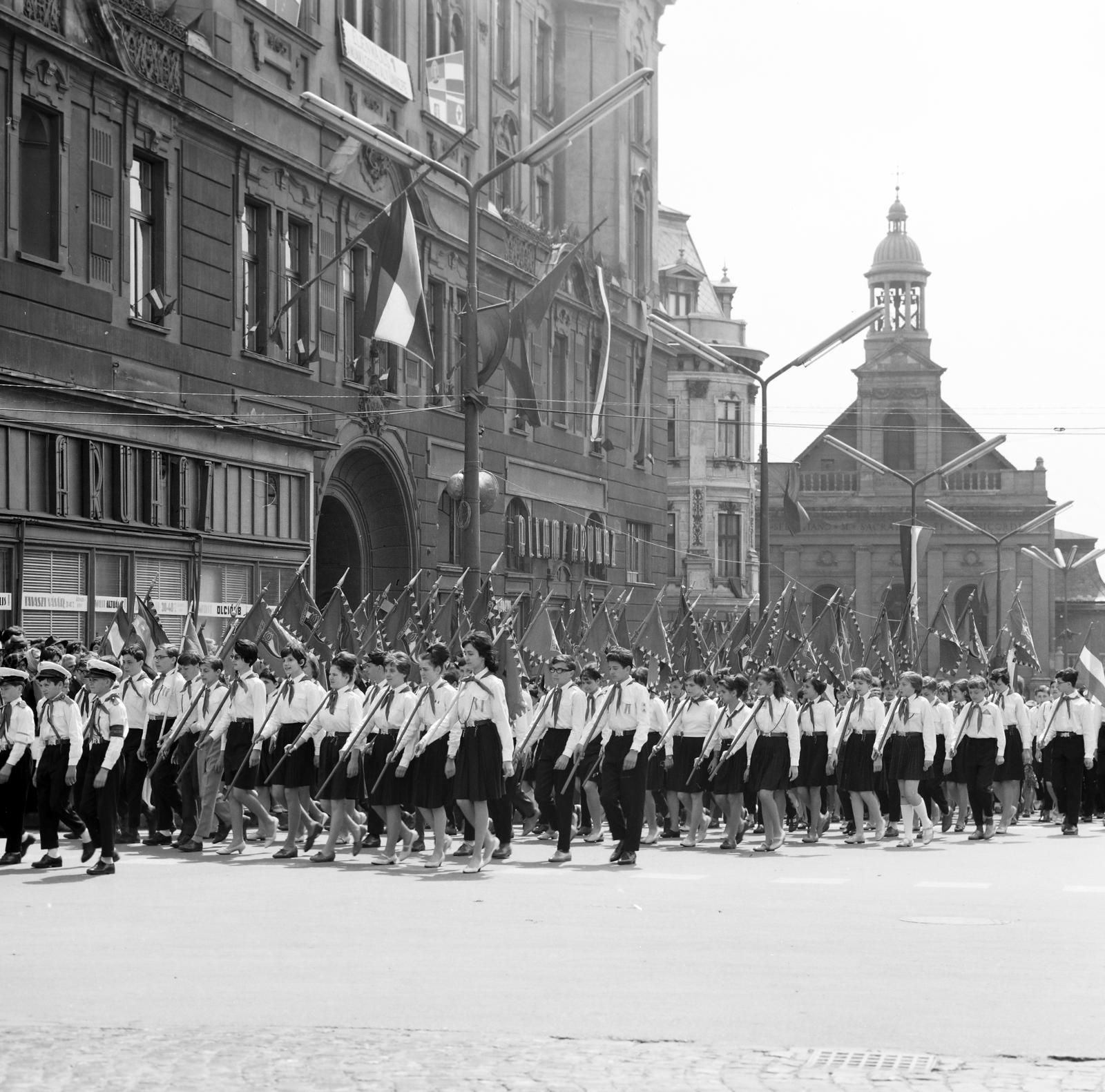 1964, Villányi Gergely, Fortepan #313247