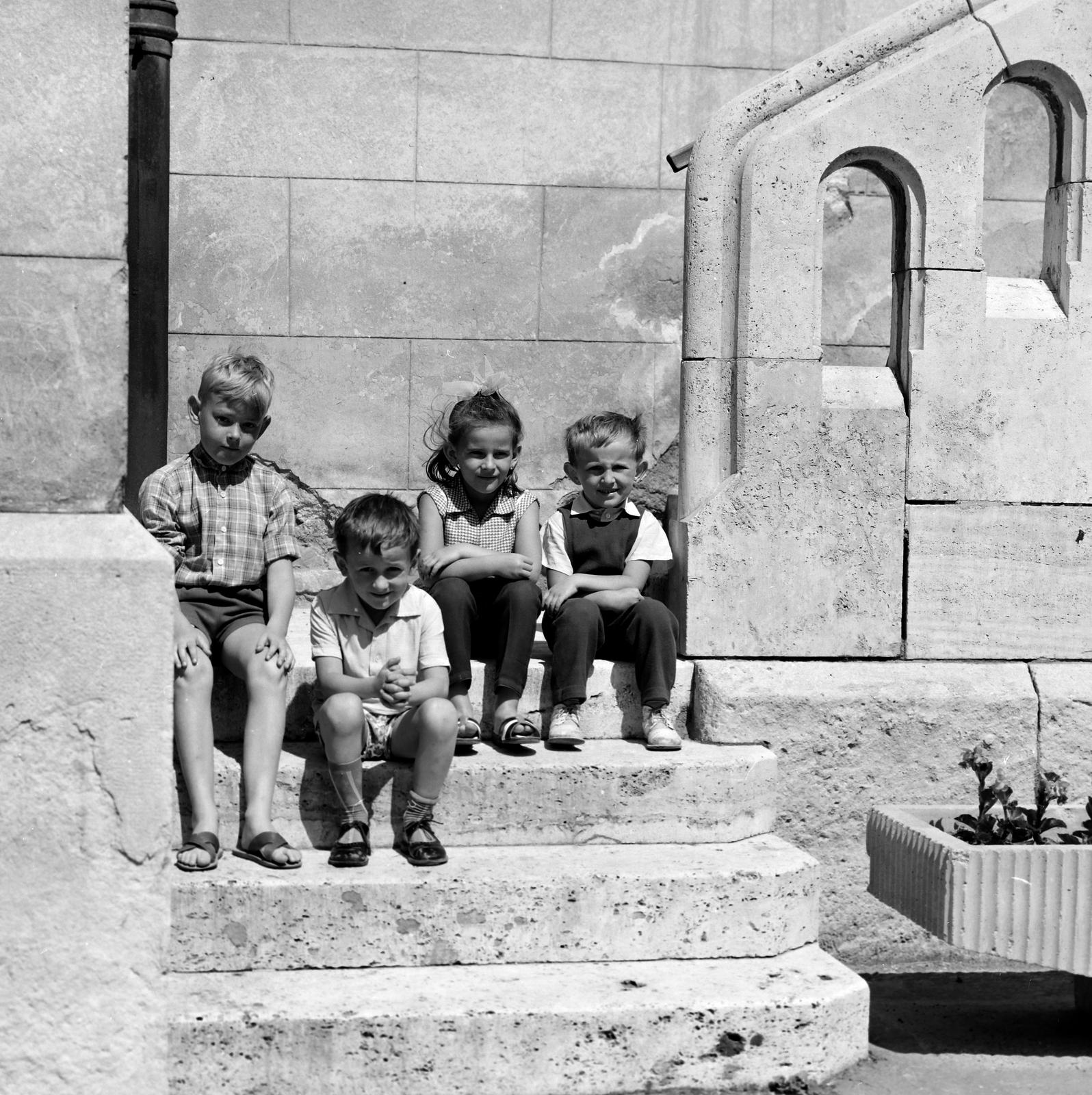 1965, Villányi Gergely, Fortepan #313260