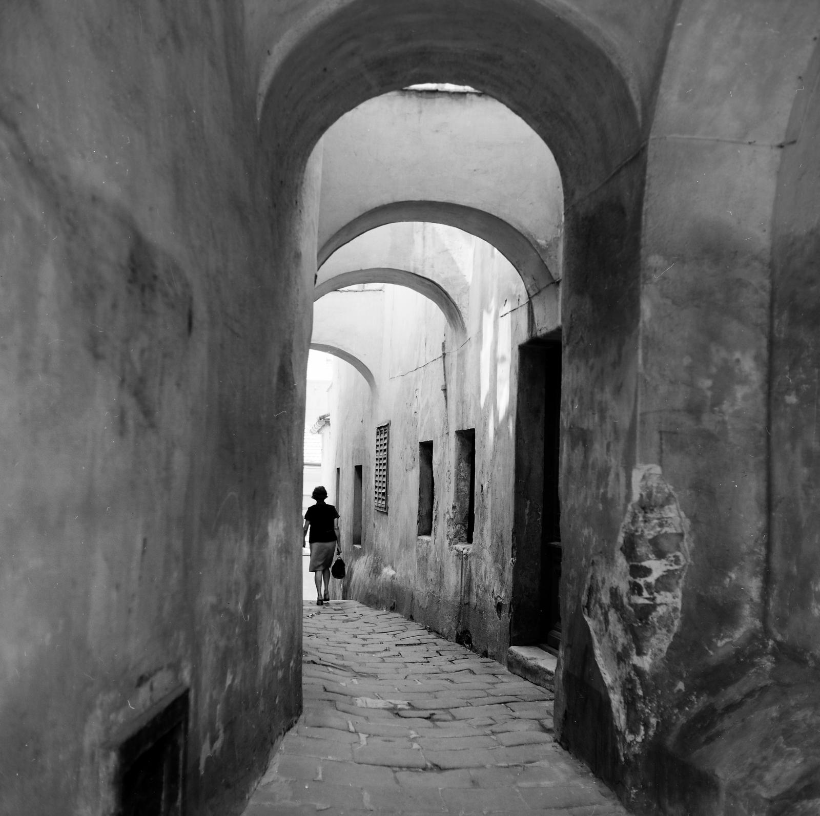 1965, Villányi Gergely, Fortepan #313262