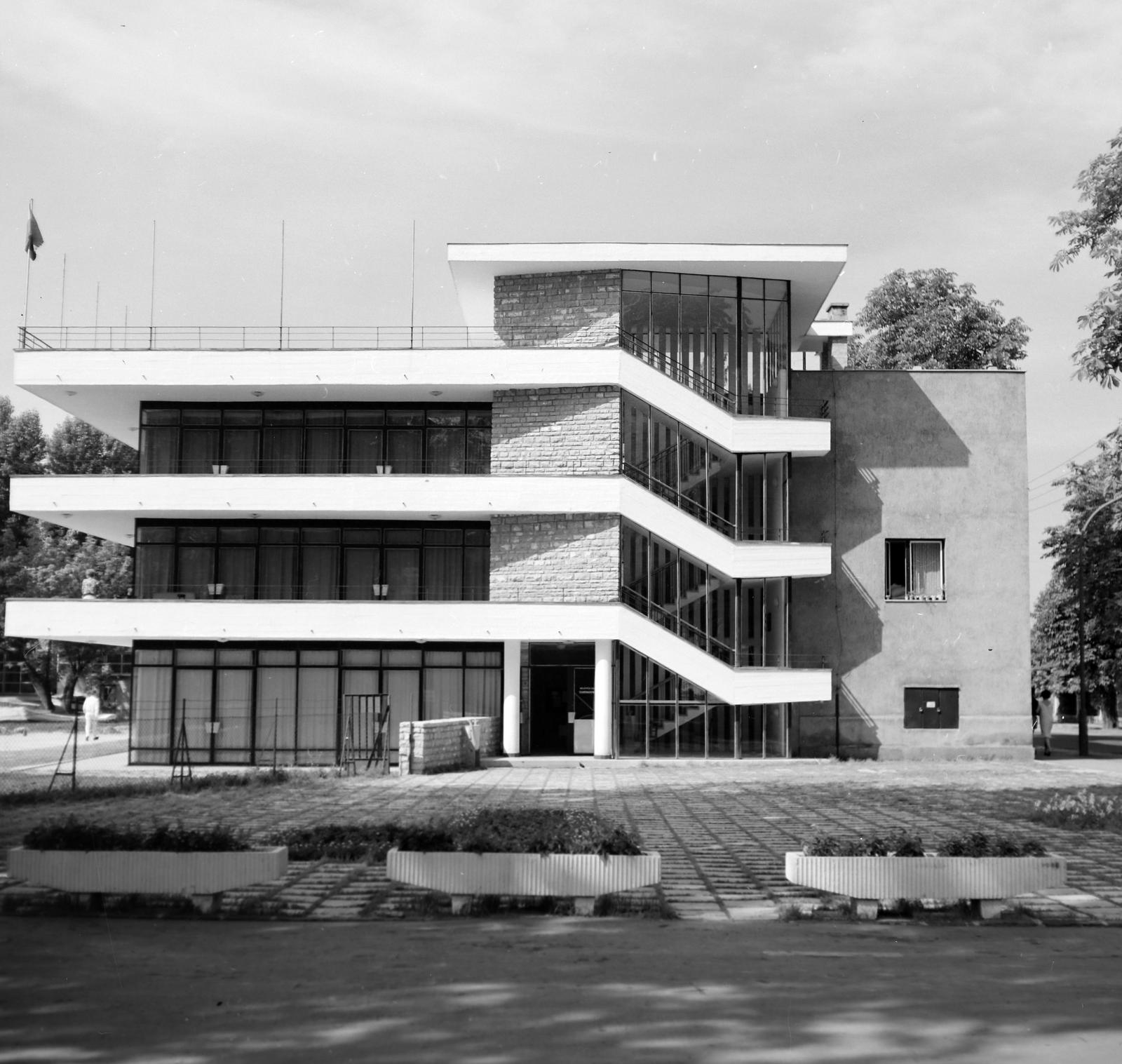 1965, Villányi Gergely, Fortepan #313263