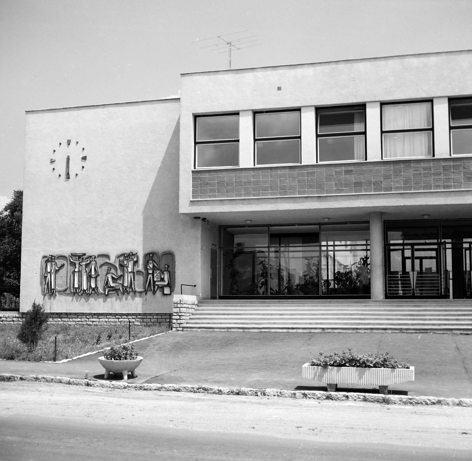 1965, Villányi Gergely, Fortepan #313266