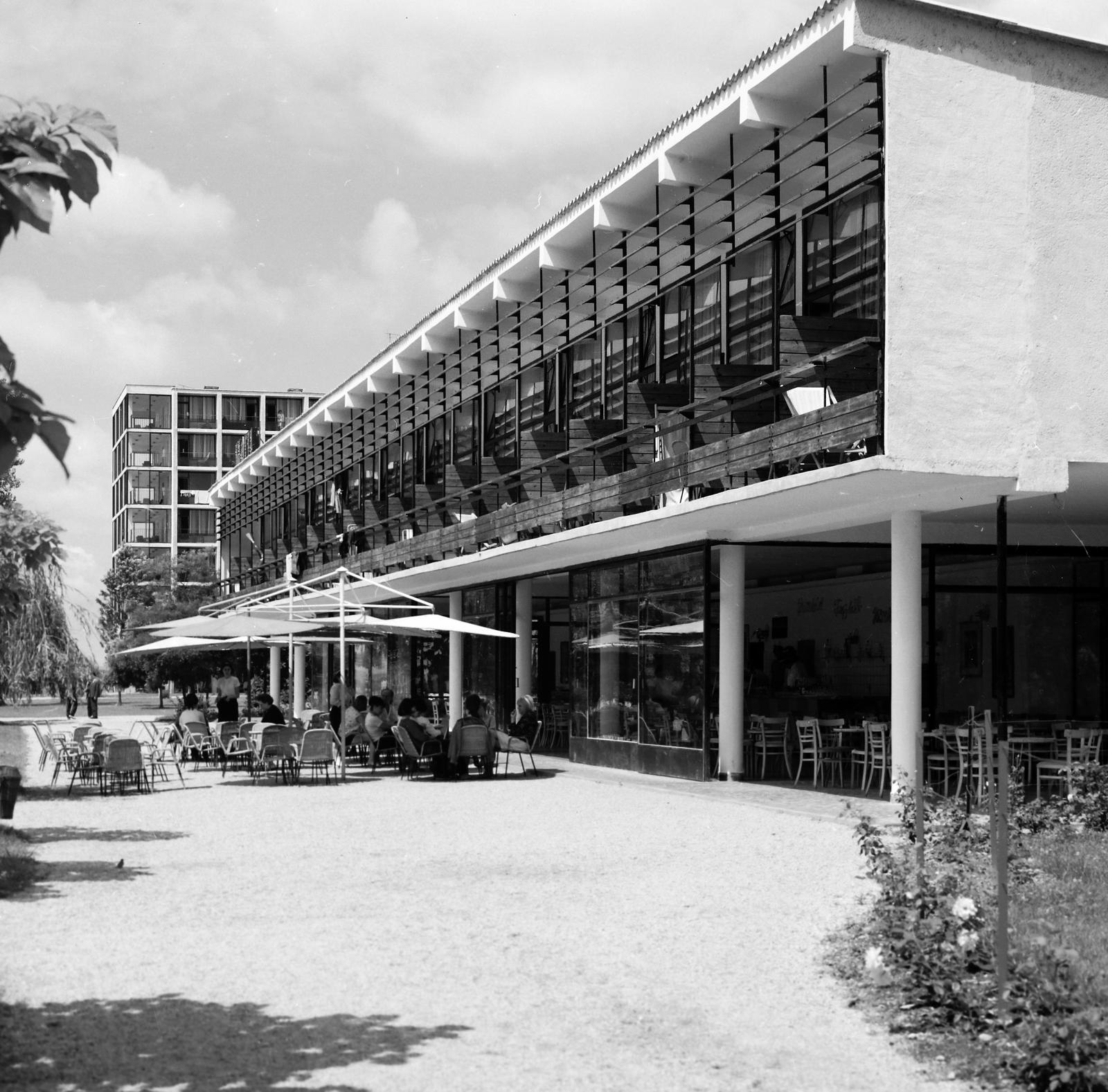 1969, Villányi Gergely, Fortepan #313277