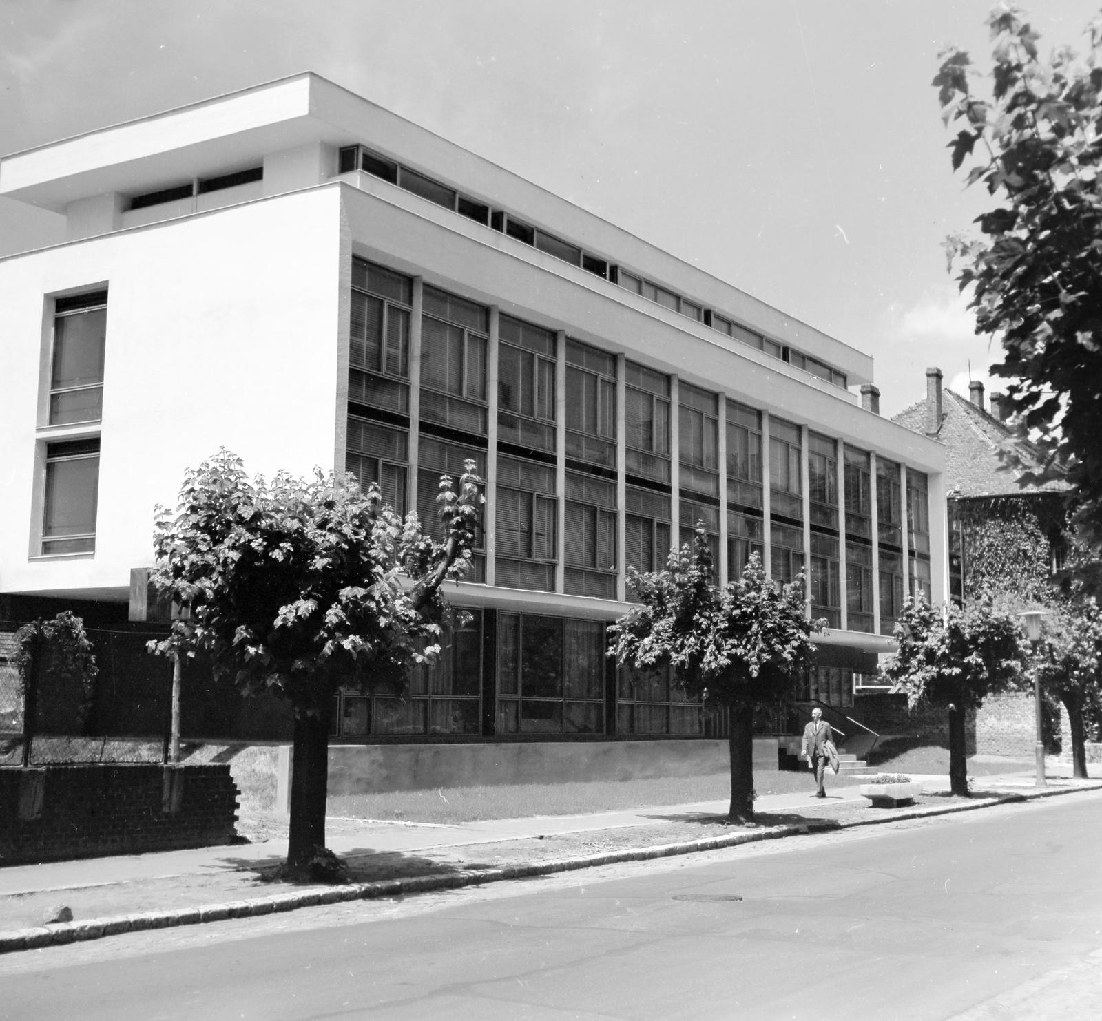 1969, Villányi Gergely, Fortepan #313282