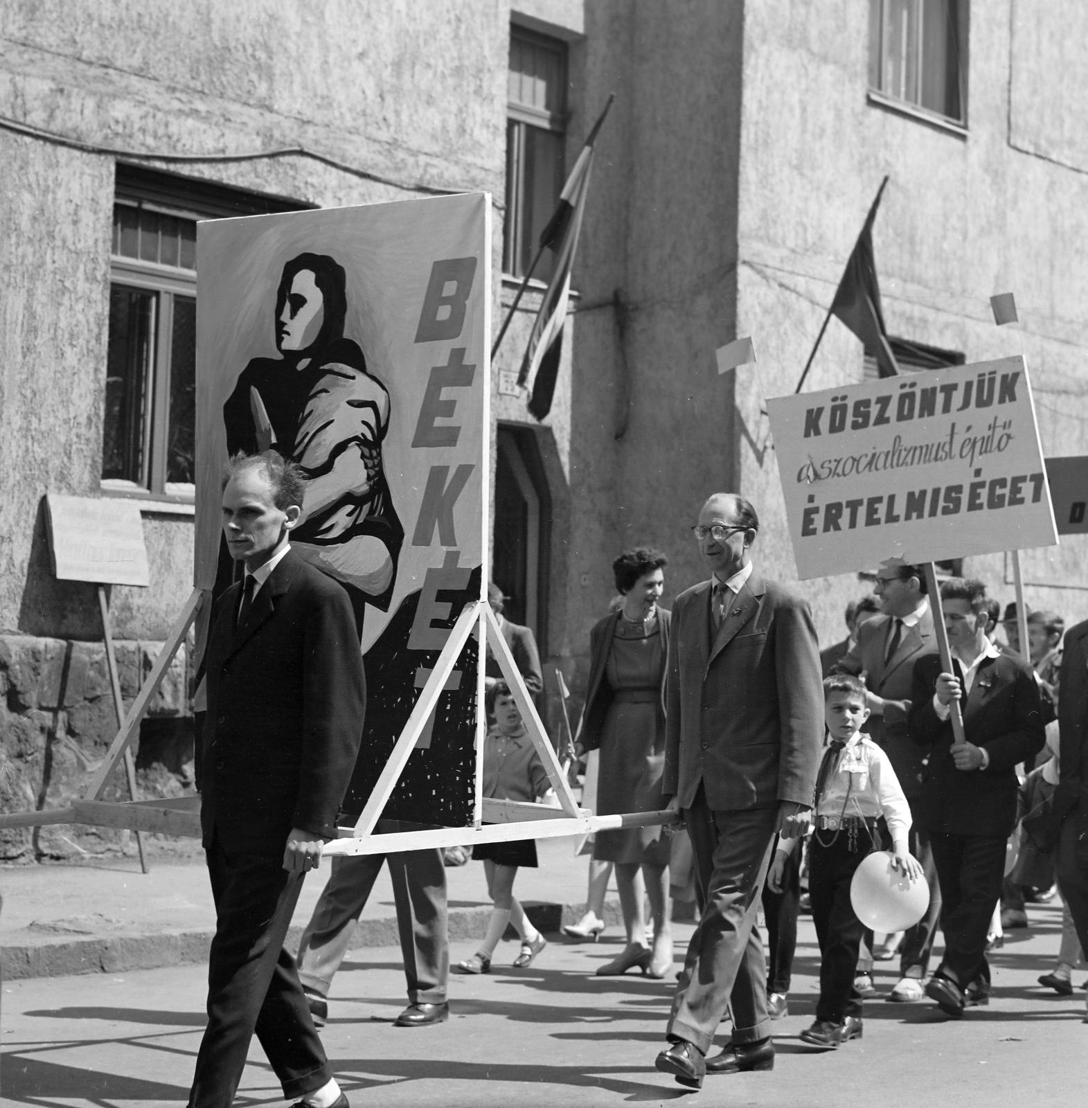 1965, Villányi Gergely, Fortepan #313293