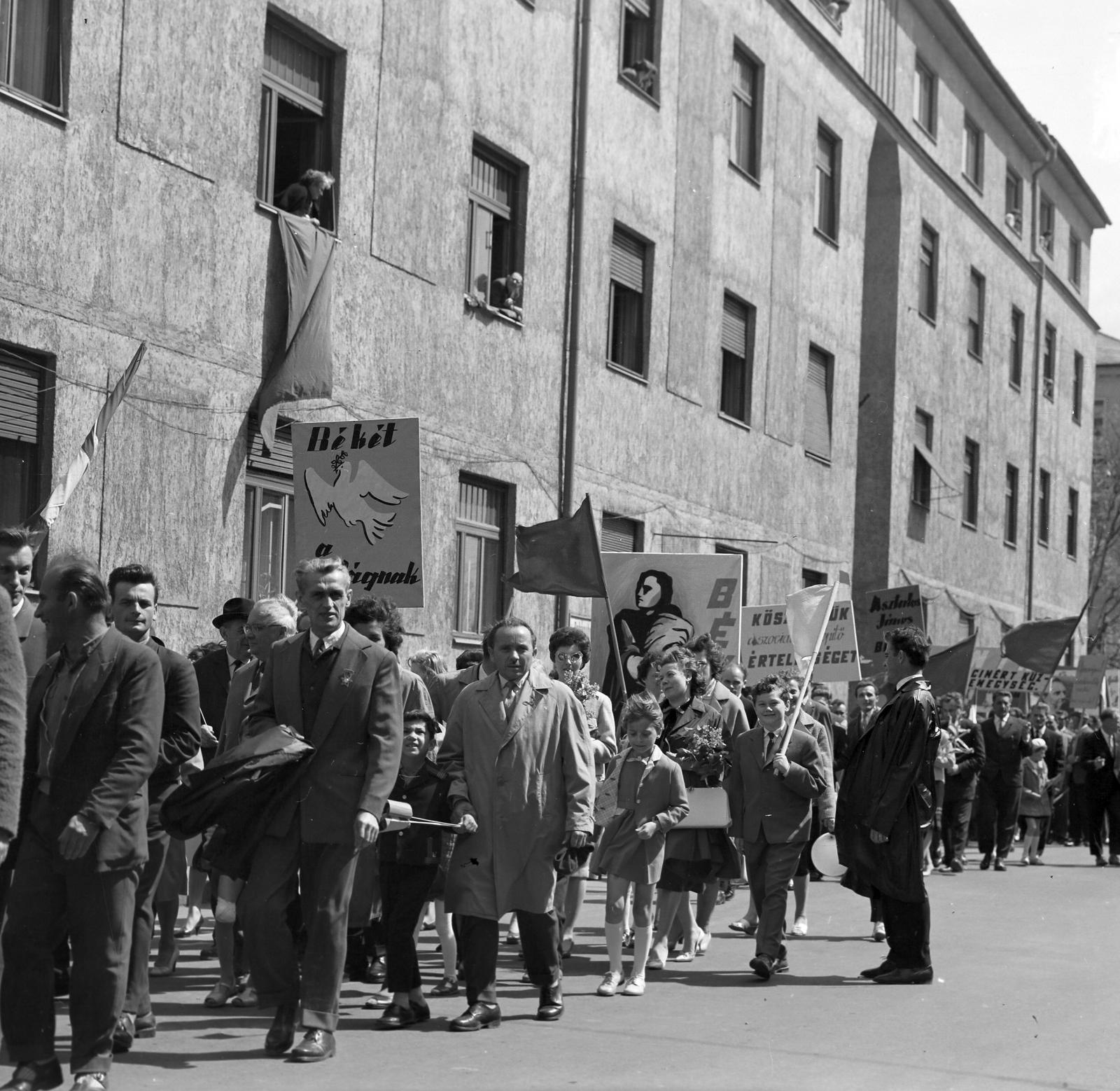 1965, Villányi Gergely, Fortepan #313294