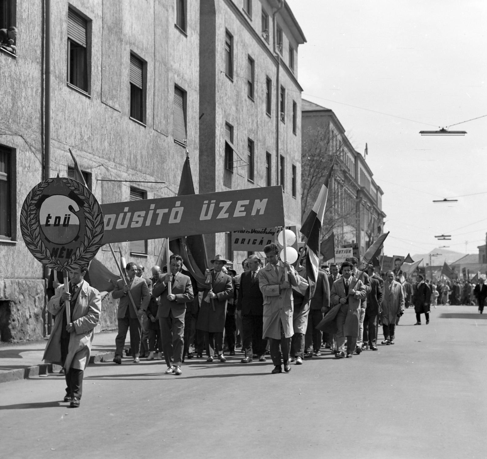 1965, Villányi Gergely, Fortepan #313295