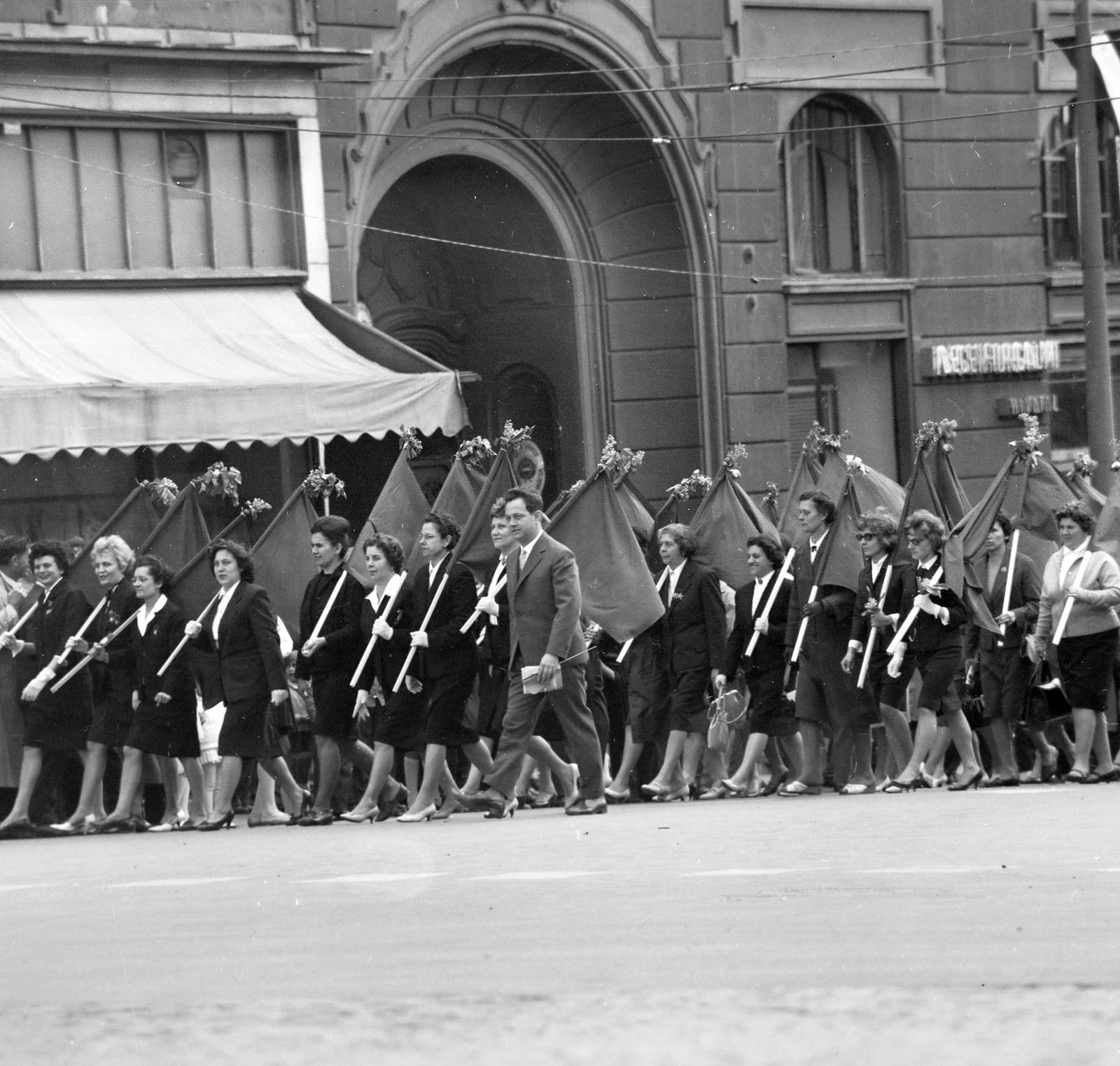 1965, Villányi Gergely, Fortepan #313298