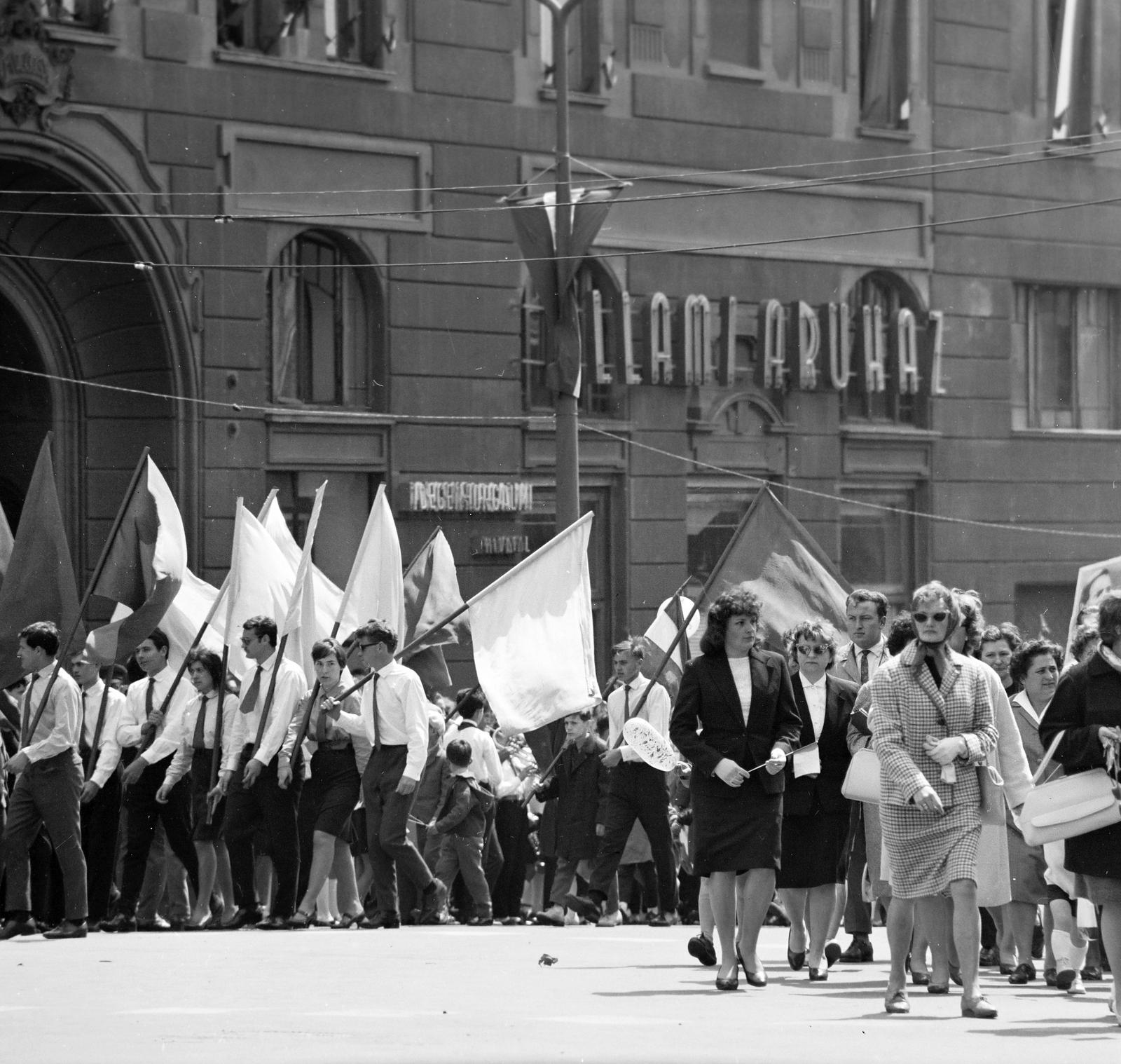 1965, Villányi Gergely, Fortepan #313300