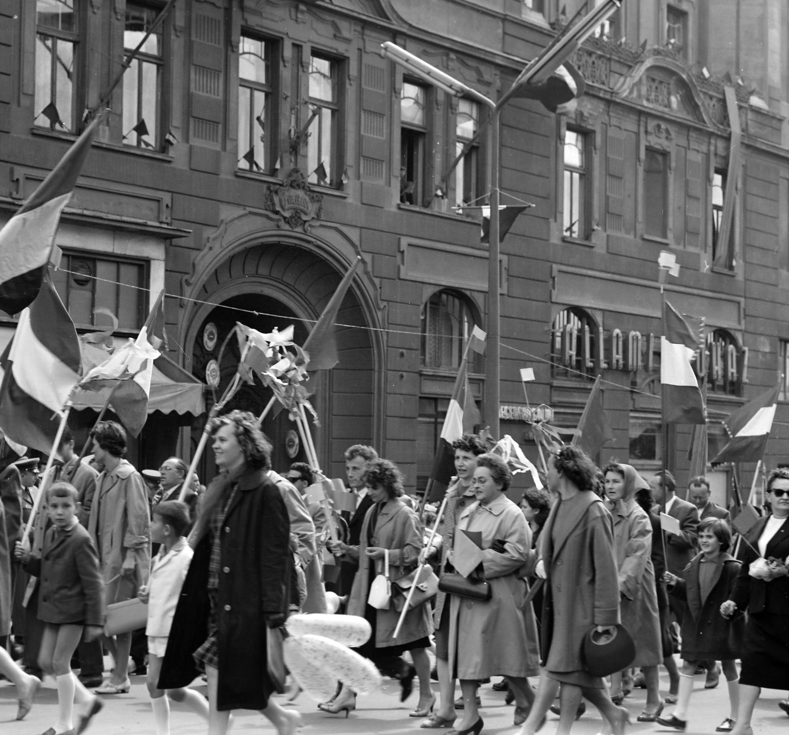 1965, Villányi Gergely, Fortepan #313302