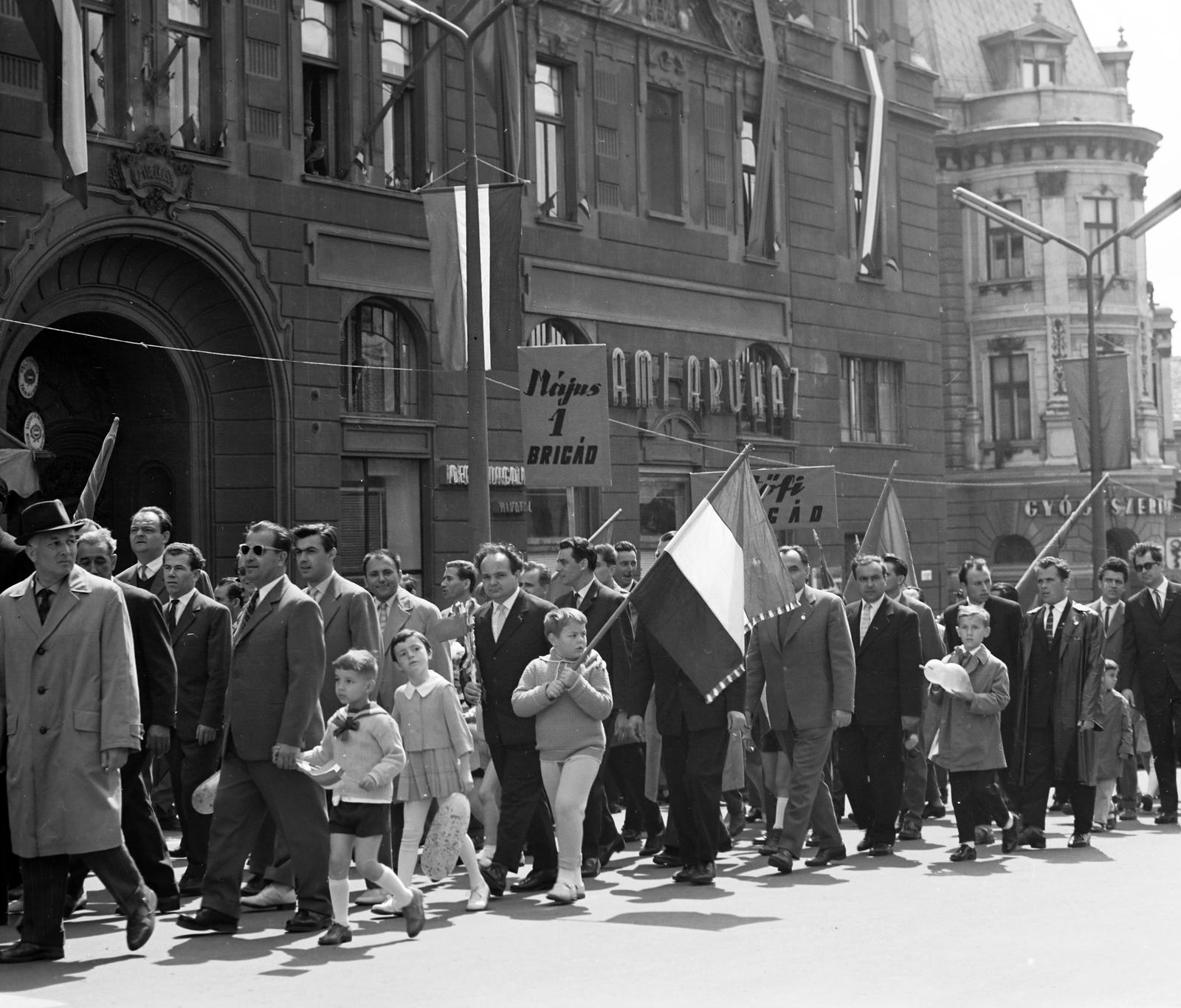 1965, Villányi Gergely, Fortepan #313307