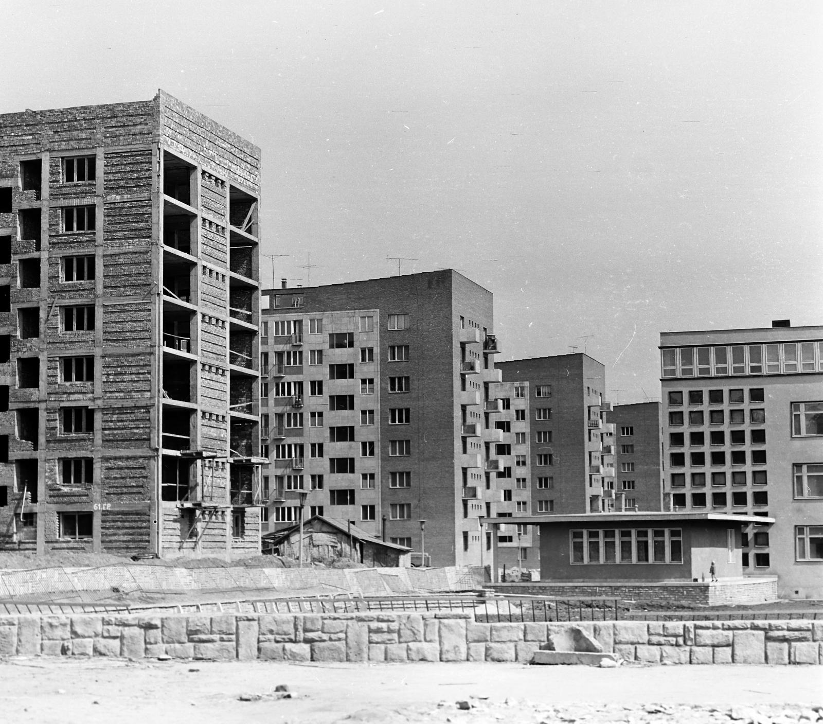 1965, Villányi Gergely, Fortepan #313314