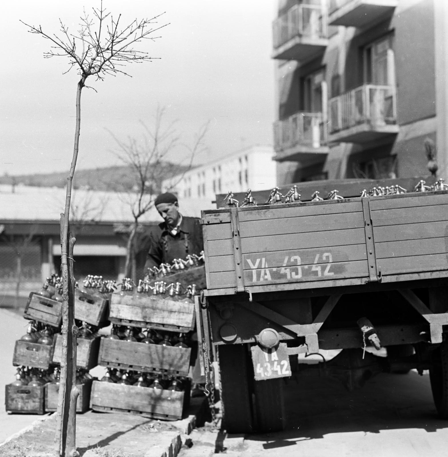 1965, Villányi Gergely, Fortepan #313315