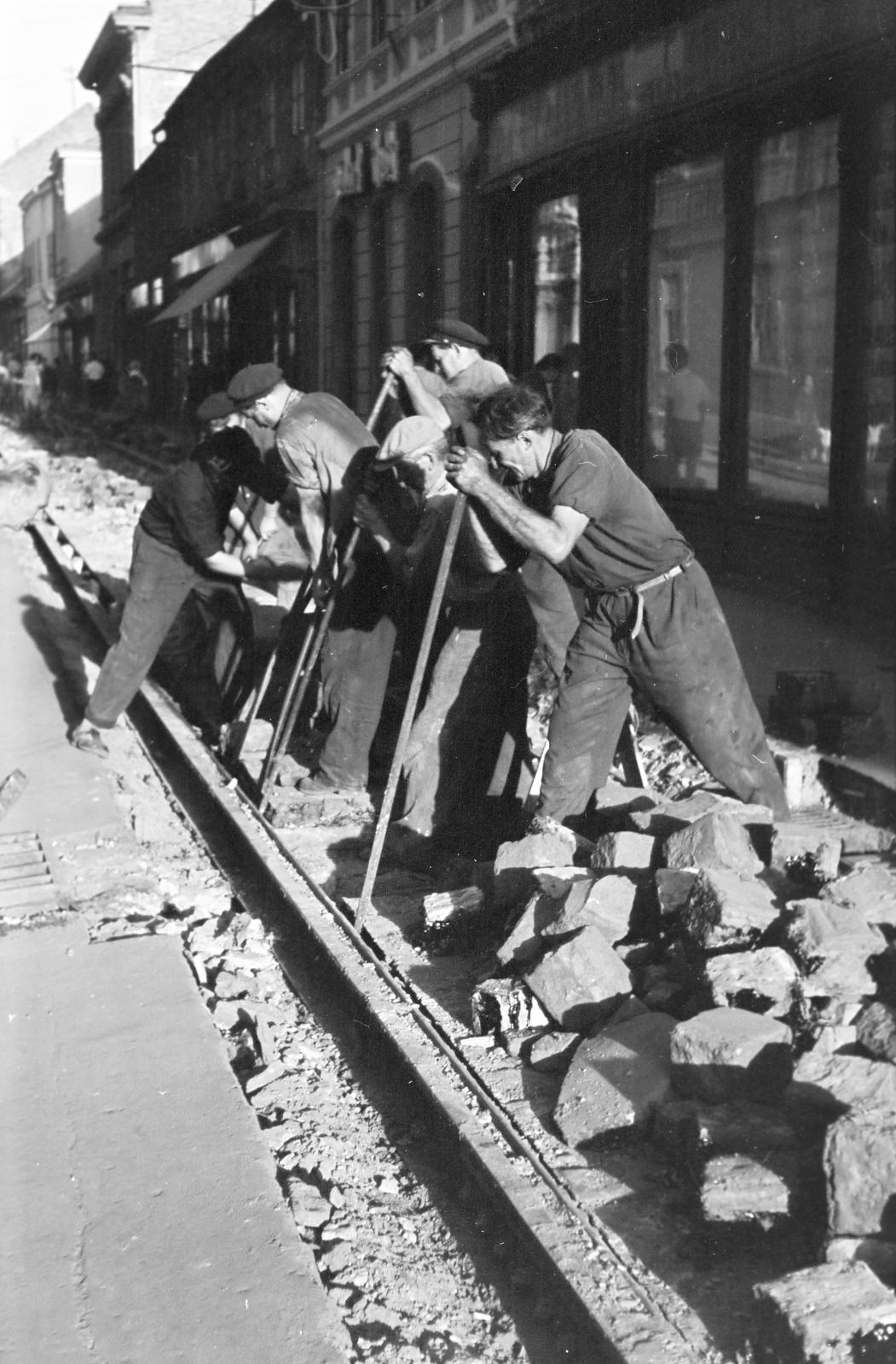 1963, Villányi Gergely, Fortepan #313317