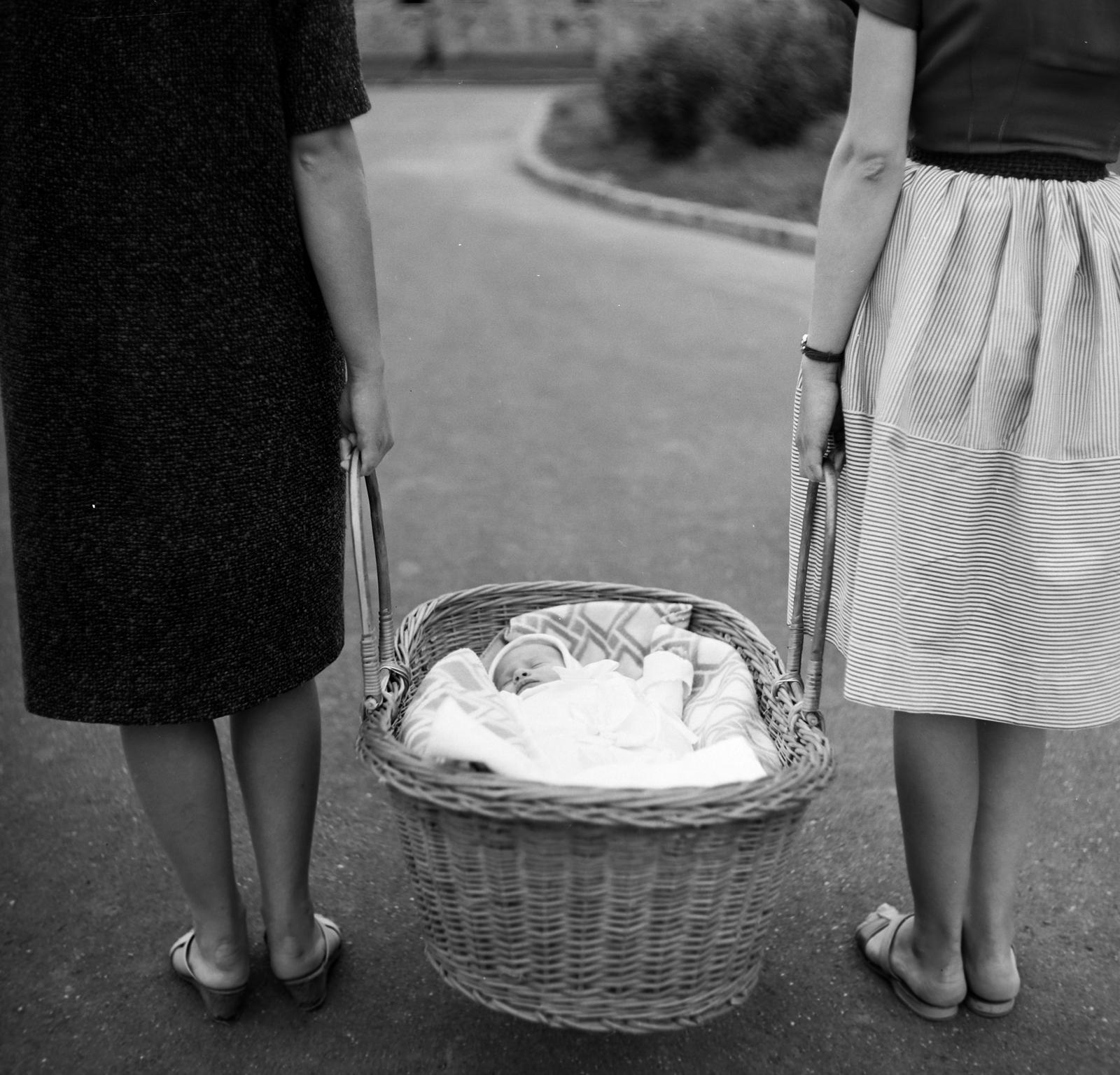 1963, Villányi Gergely, mózeskosár, Fortepan #313330