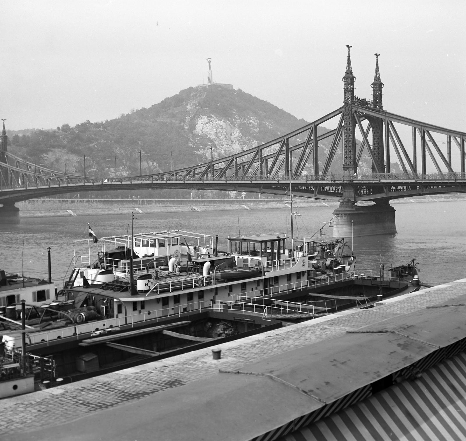 1963, Villányi Gergely, Fortepan #313331