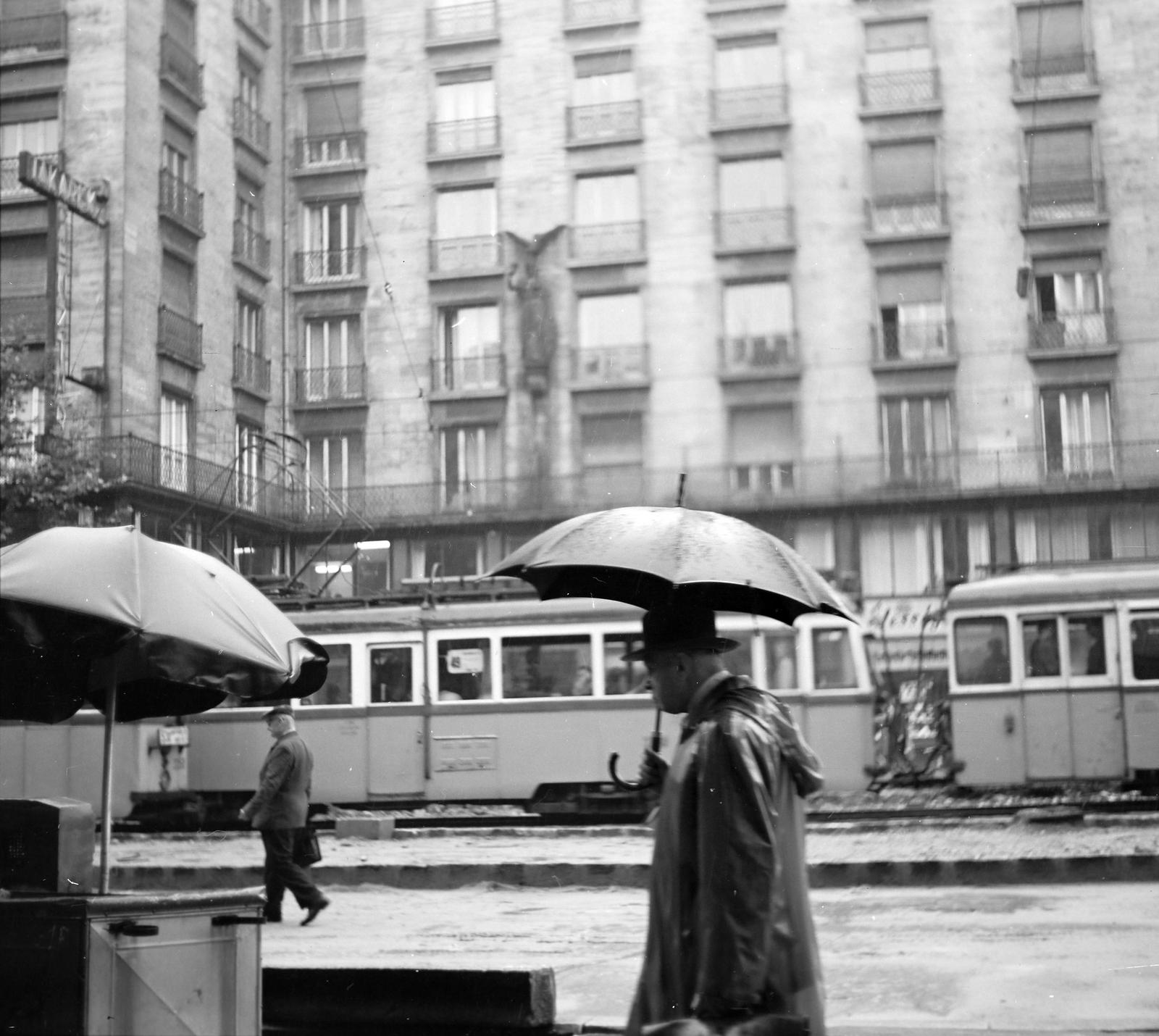 1963, Villányi Gergely, Fortepan #313336