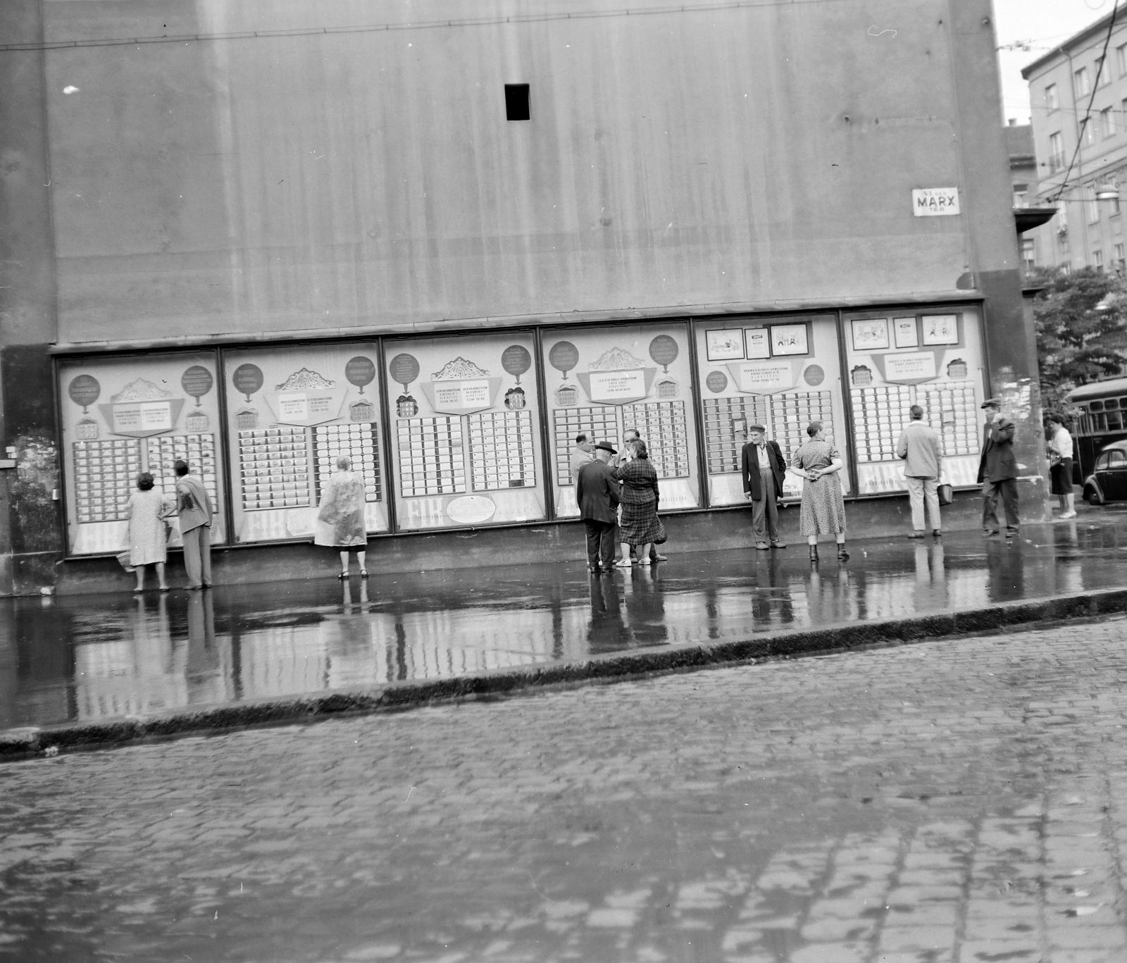 1963, Villányi Gergely, Fortepan #313337