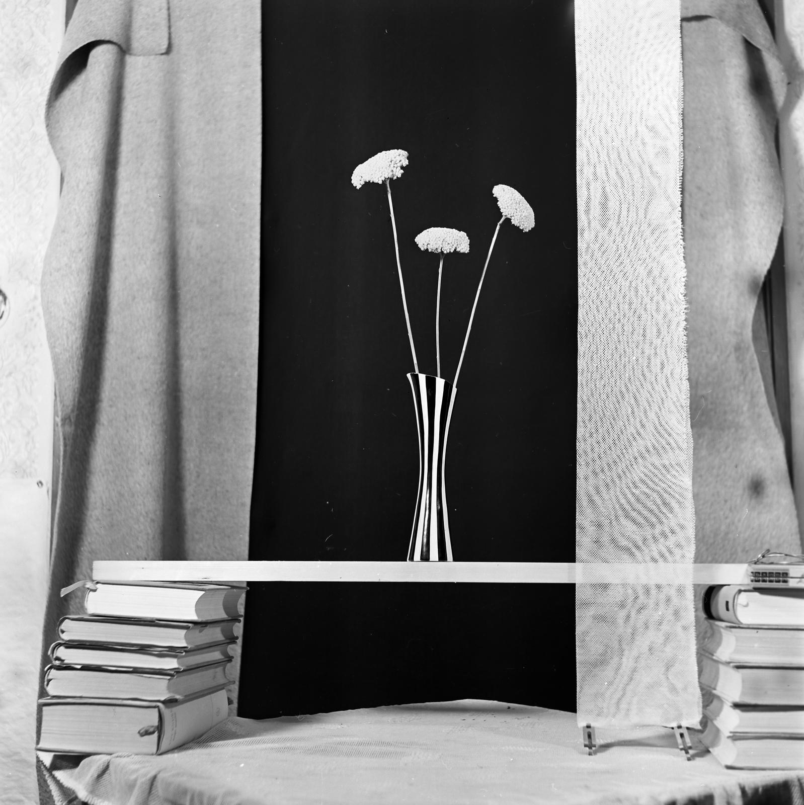 1964, Villányi Gergely, Fortepan #313356